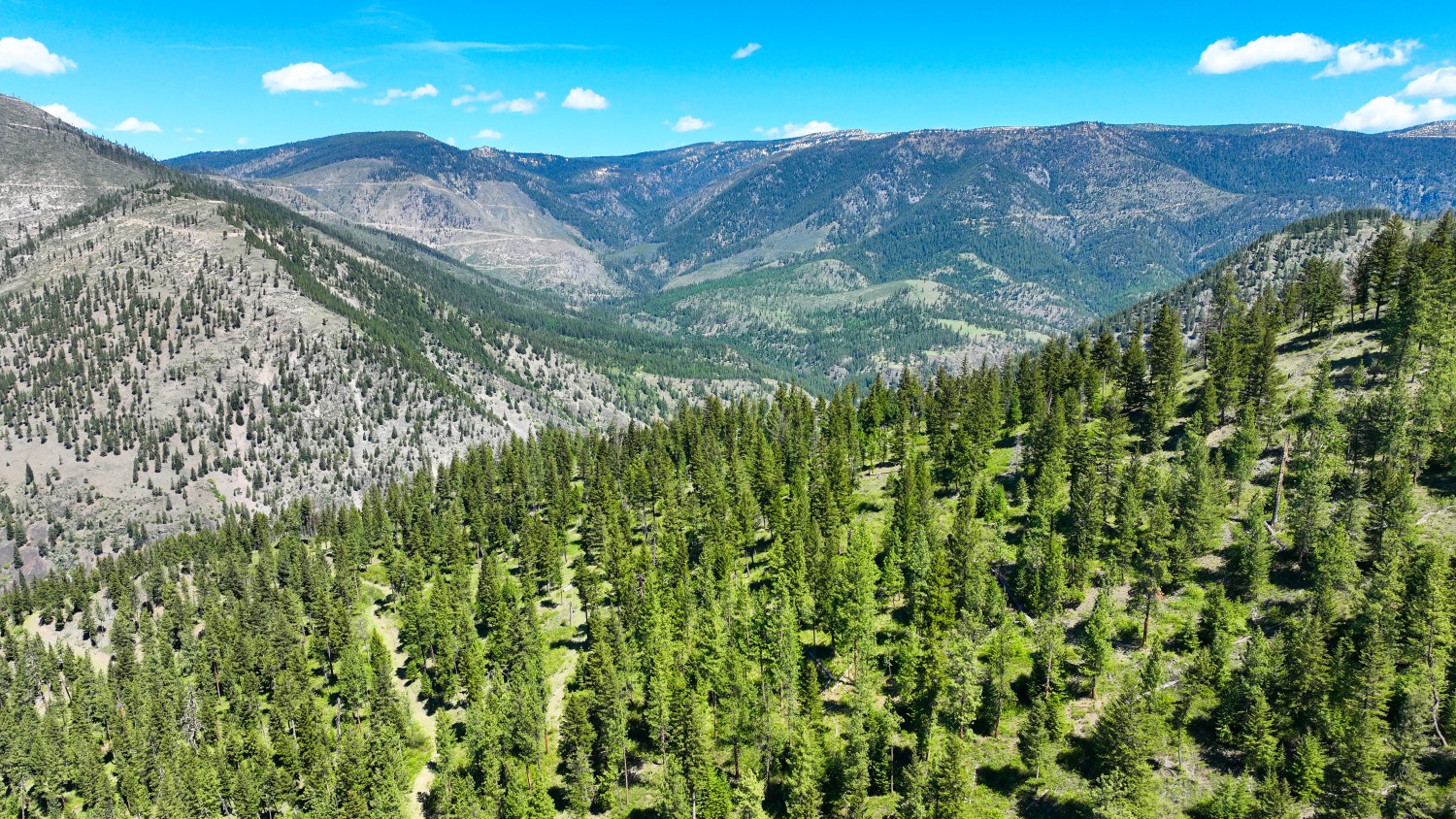 Nhn Bonner 242 Property Photo 43