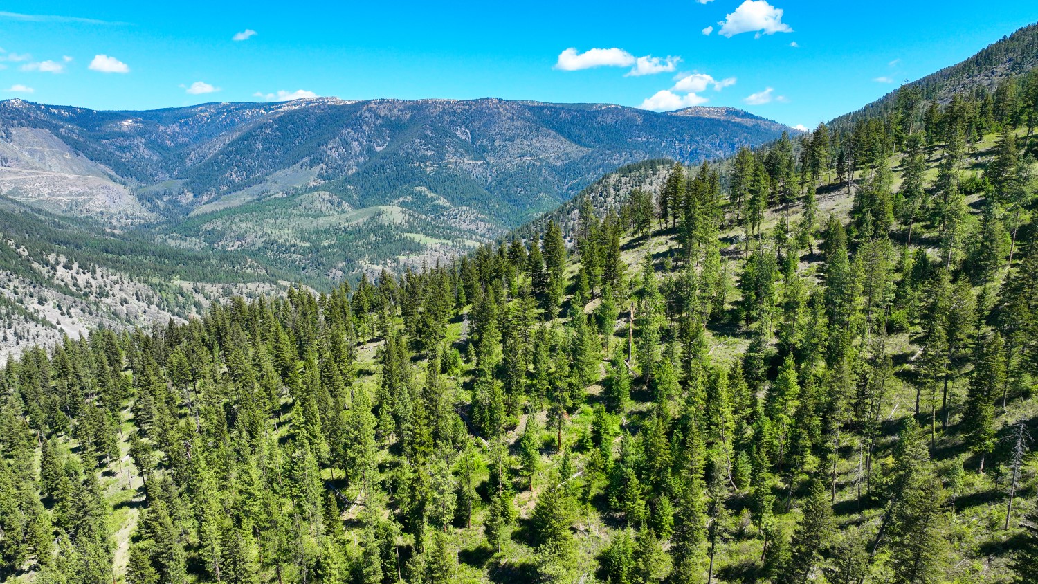 Nhn Bonner 242 Property Photo 44