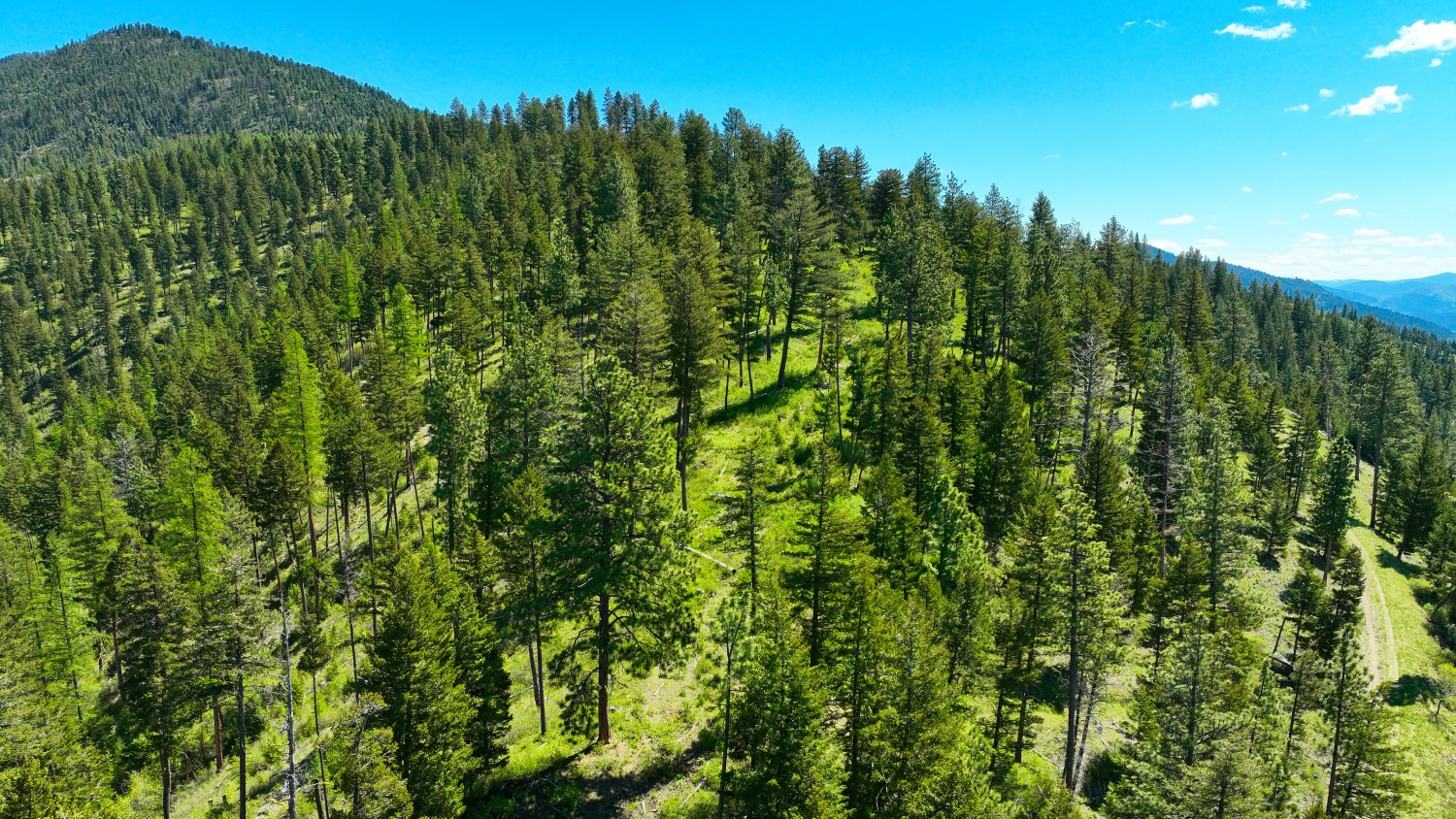 Nhn Bonner 242 Property Photo 46