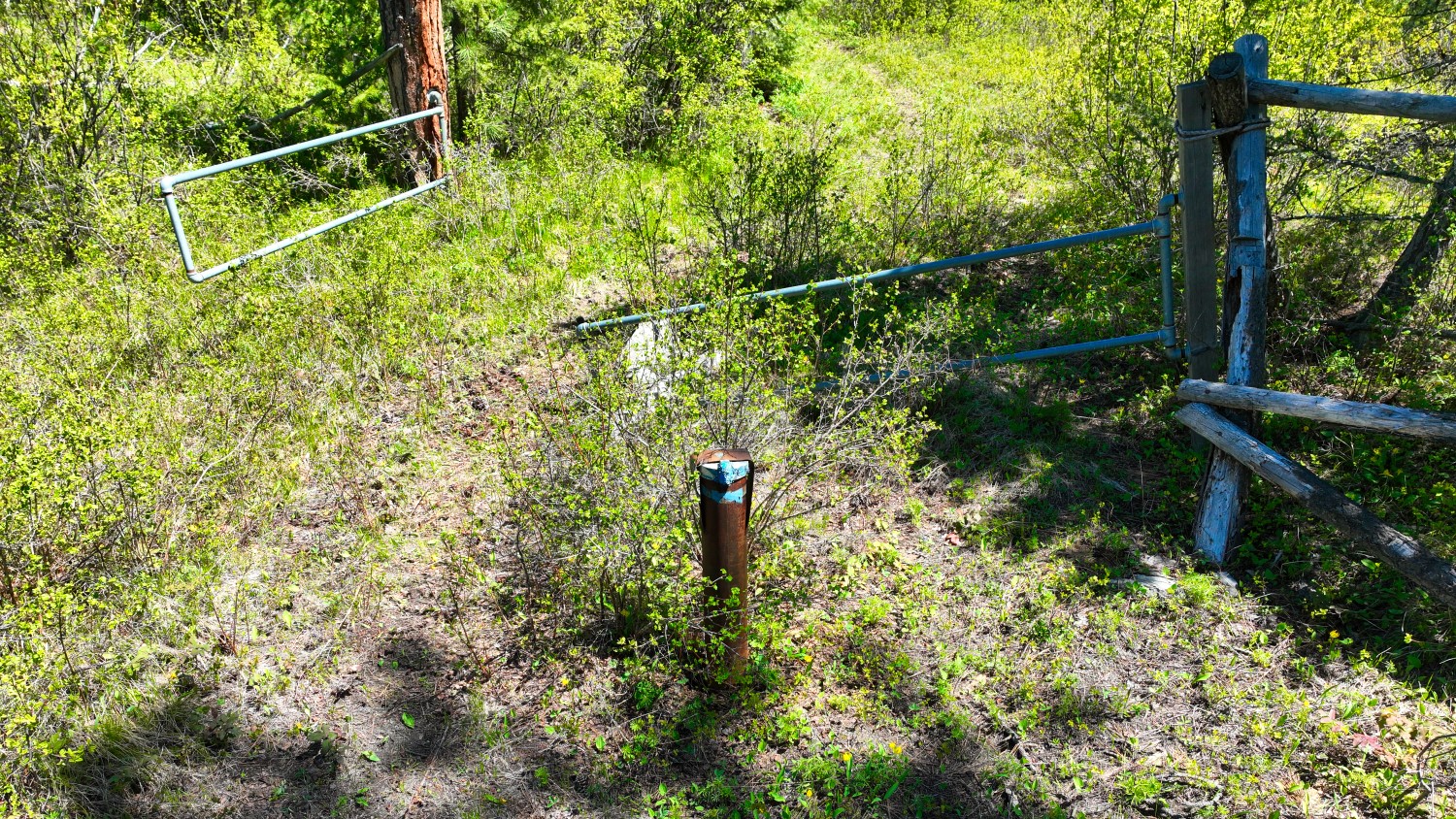 Nhn Bonner 242 Property Photo 47