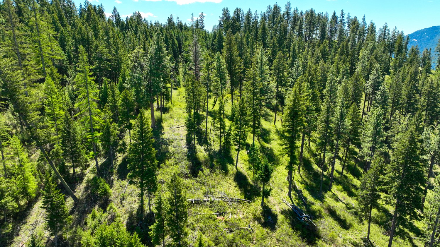 Nhn Bonner 242 Property Photo 49