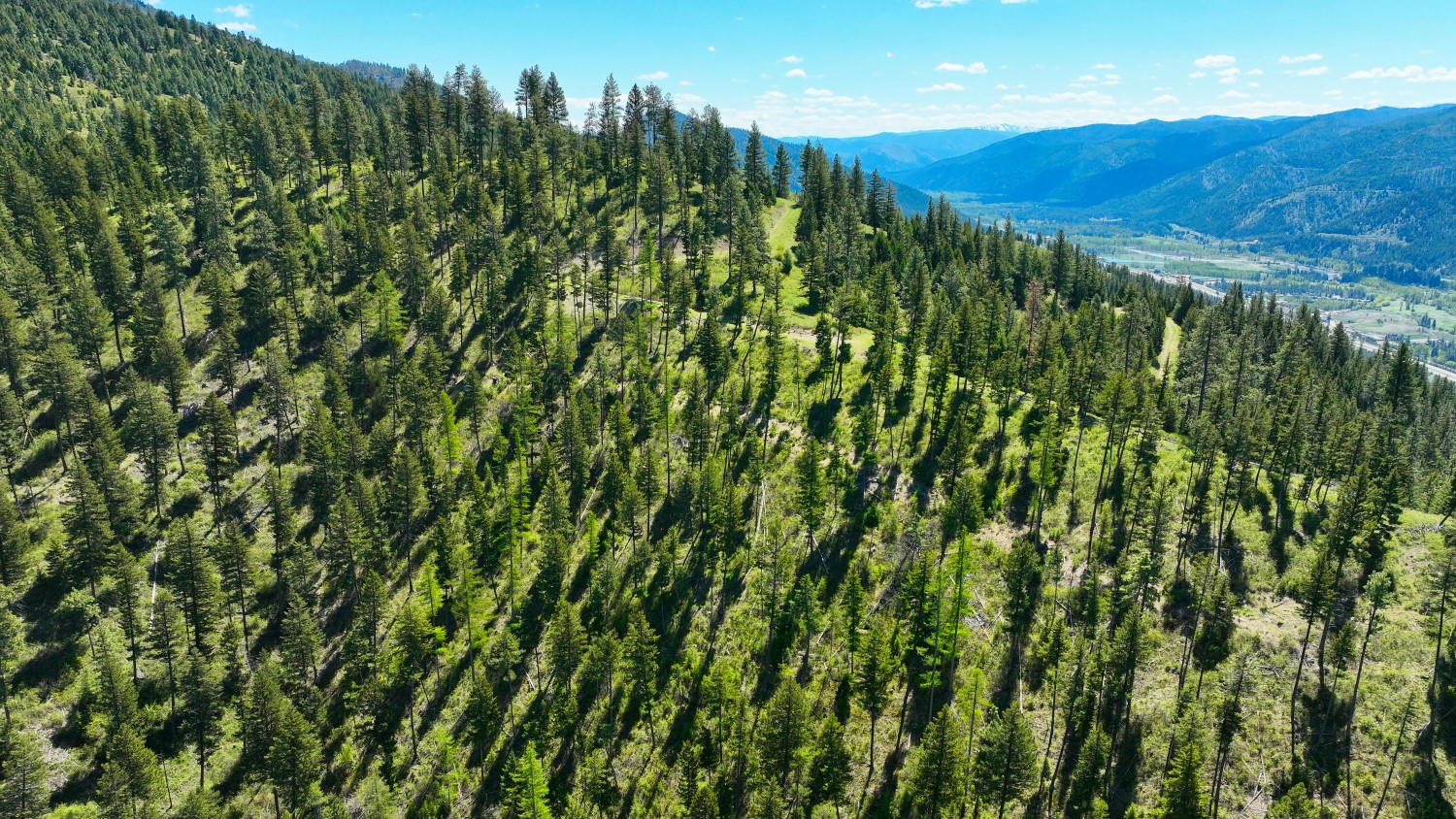 Nhn Bonner 242 Property Photo 51