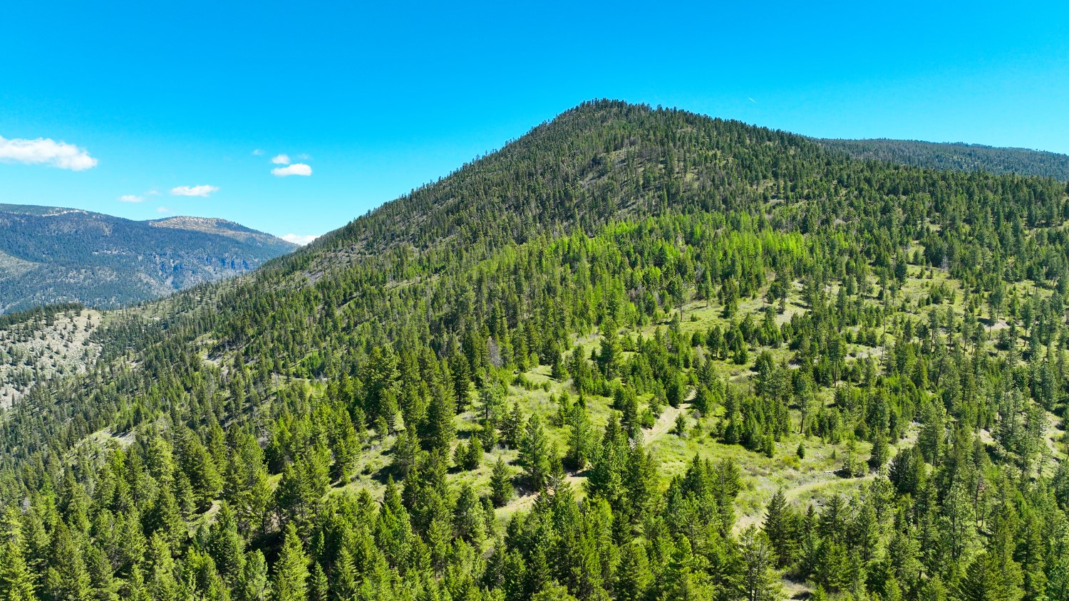 Nhn Bonner 242 Property Photo 53