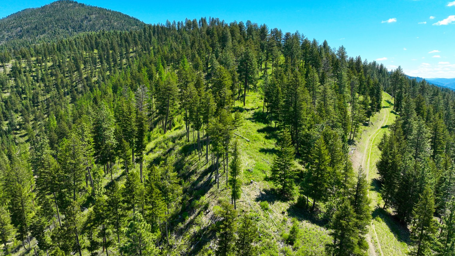 Nhn Bonner 242 Property Photo 56