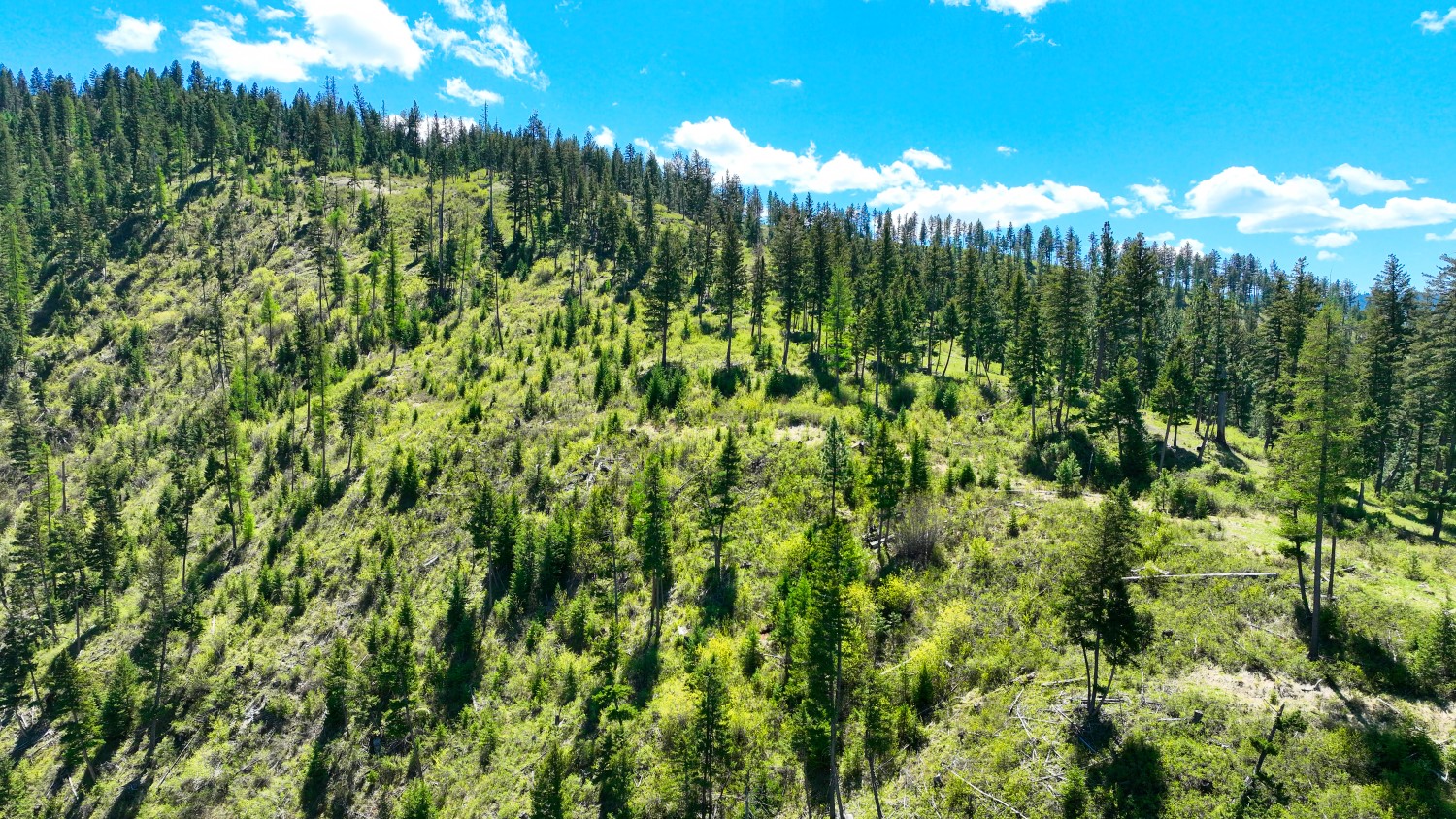 Nhn Bonner 242 Property Photo 57