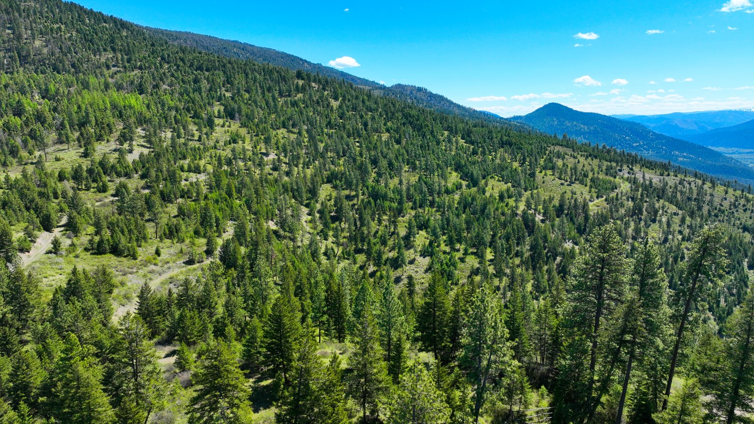 Nhn Bonner 242 Property Photo 58