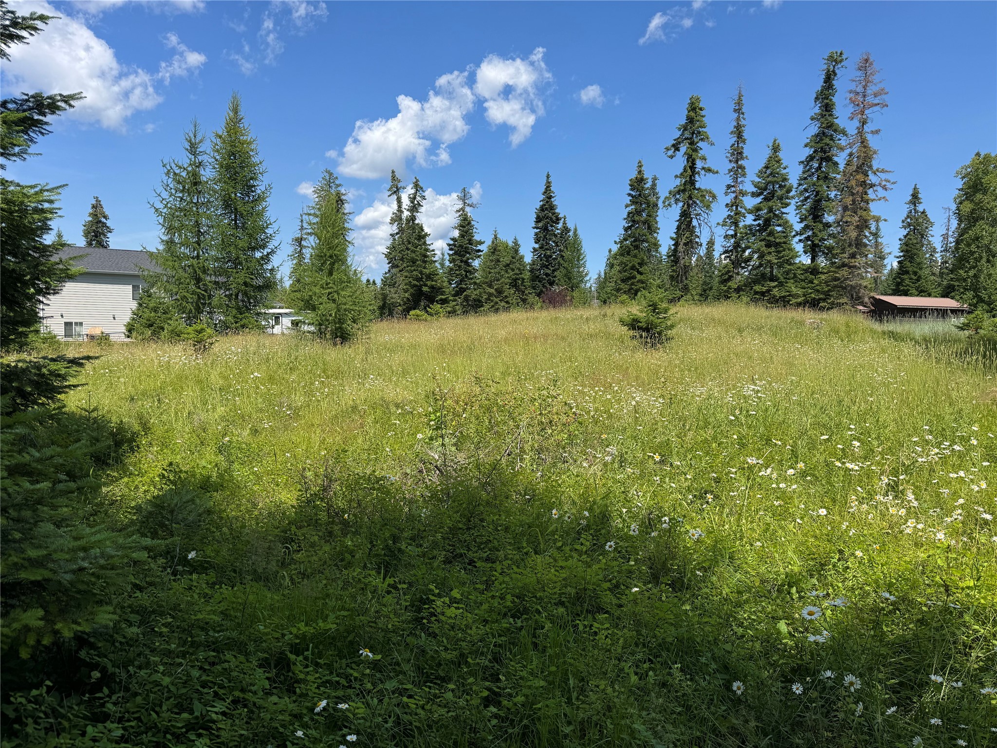 13643 Sundance Trail Property Photo 1