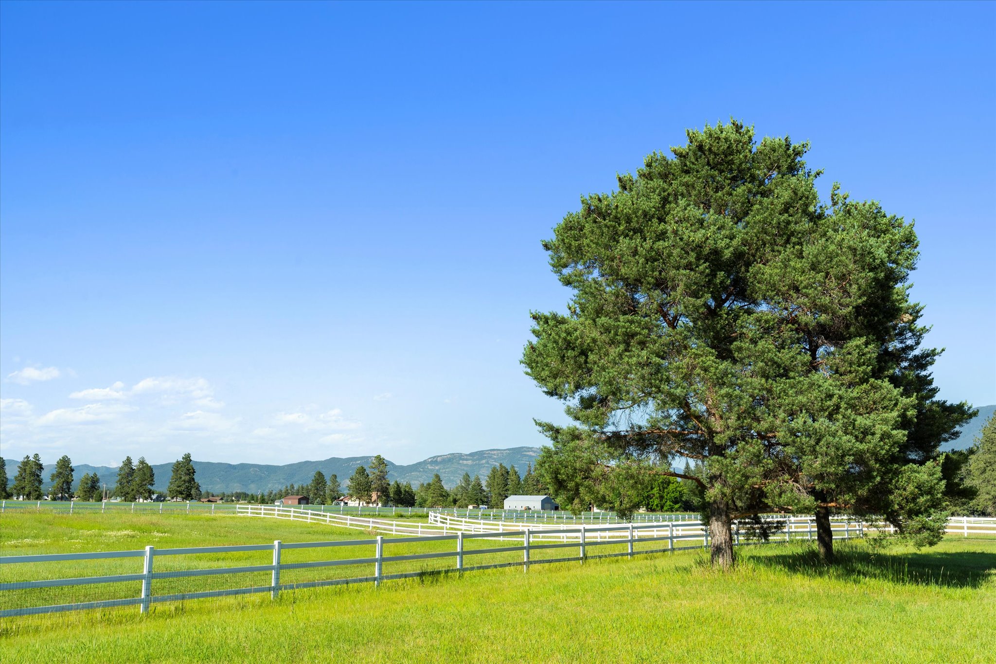 3396 Trumble Creek Road Property Photo 42