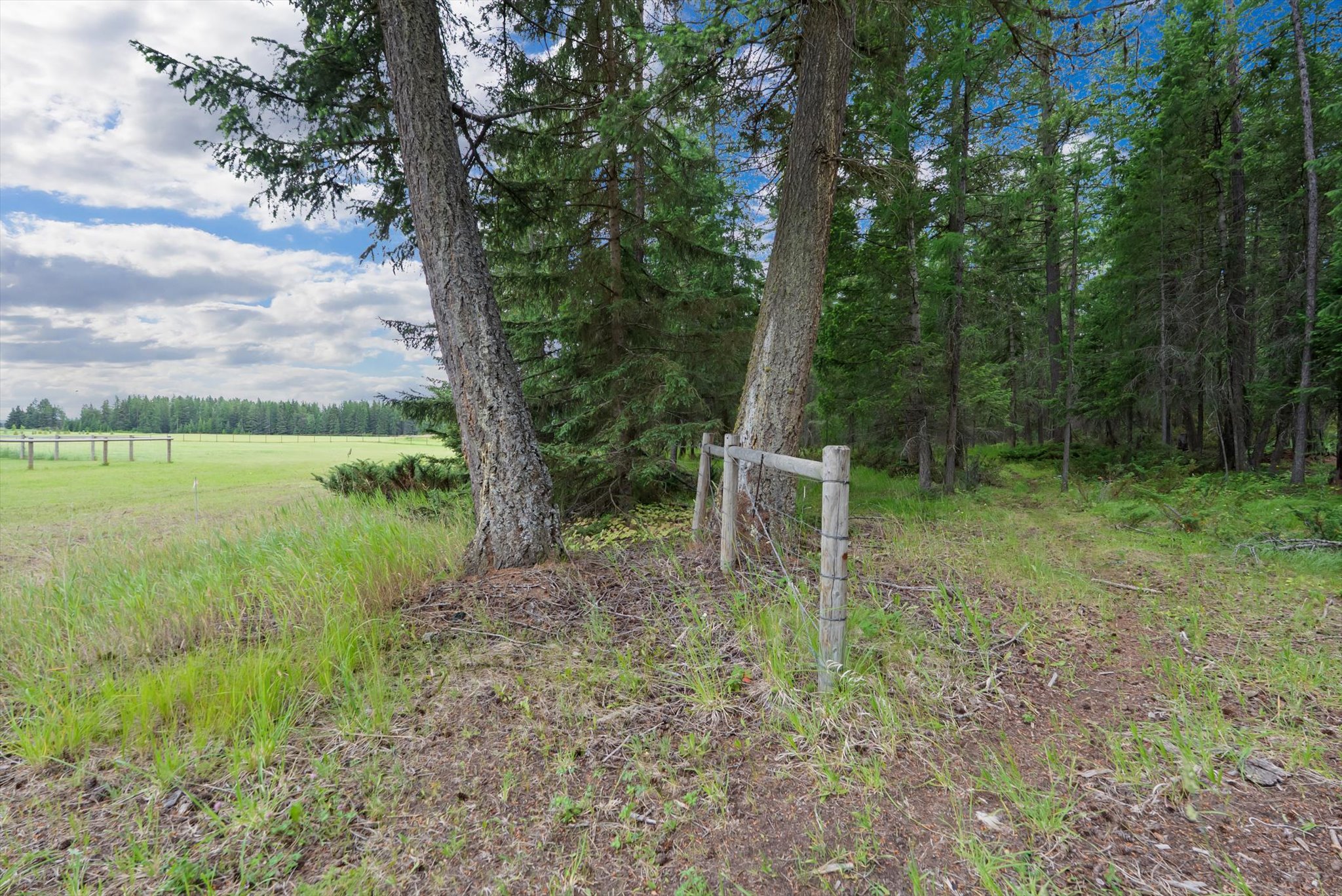 555 & 561 Twin Bridges Road Property Photo 18