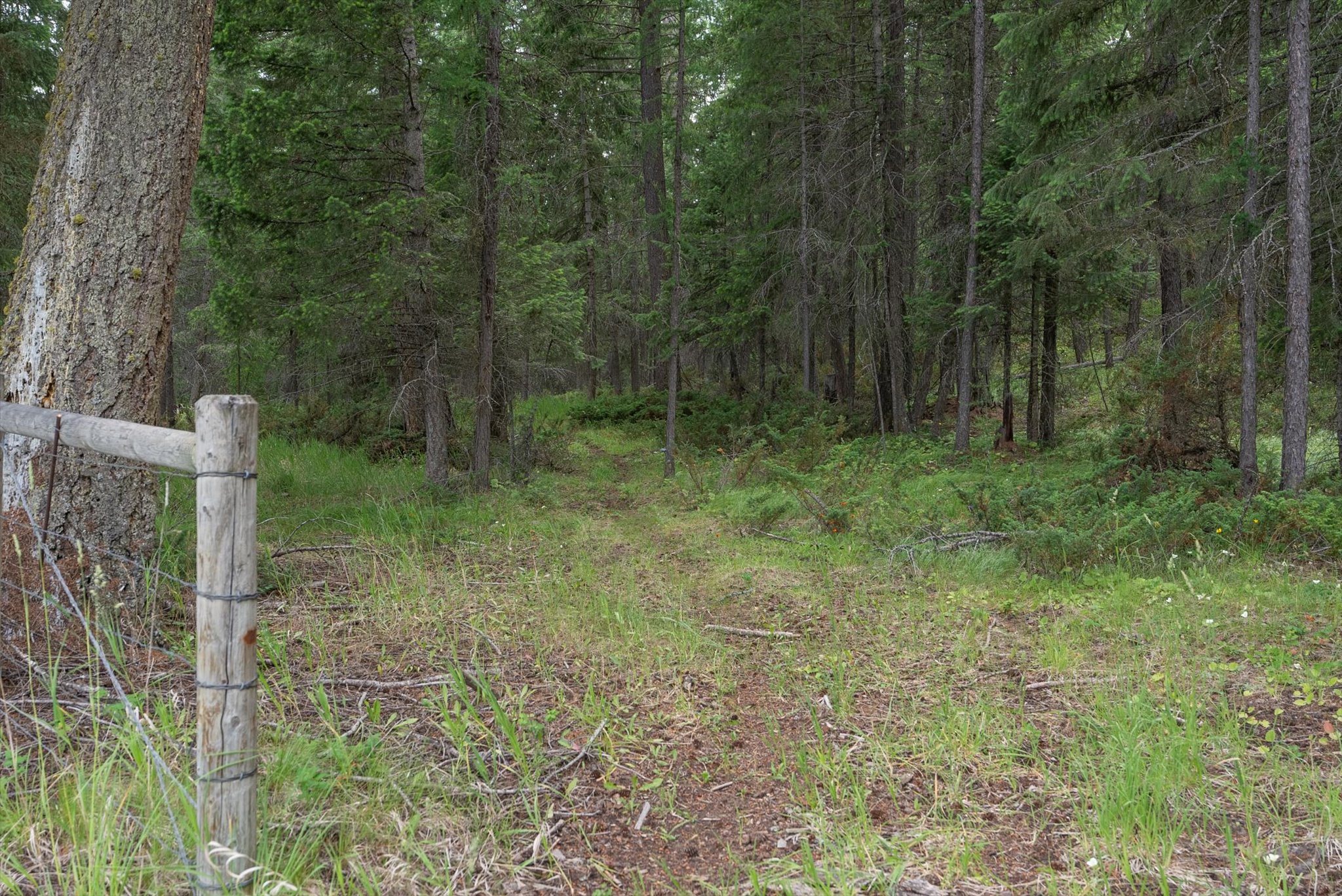 555 & 561 Twin Bridges Road Property Photo 19