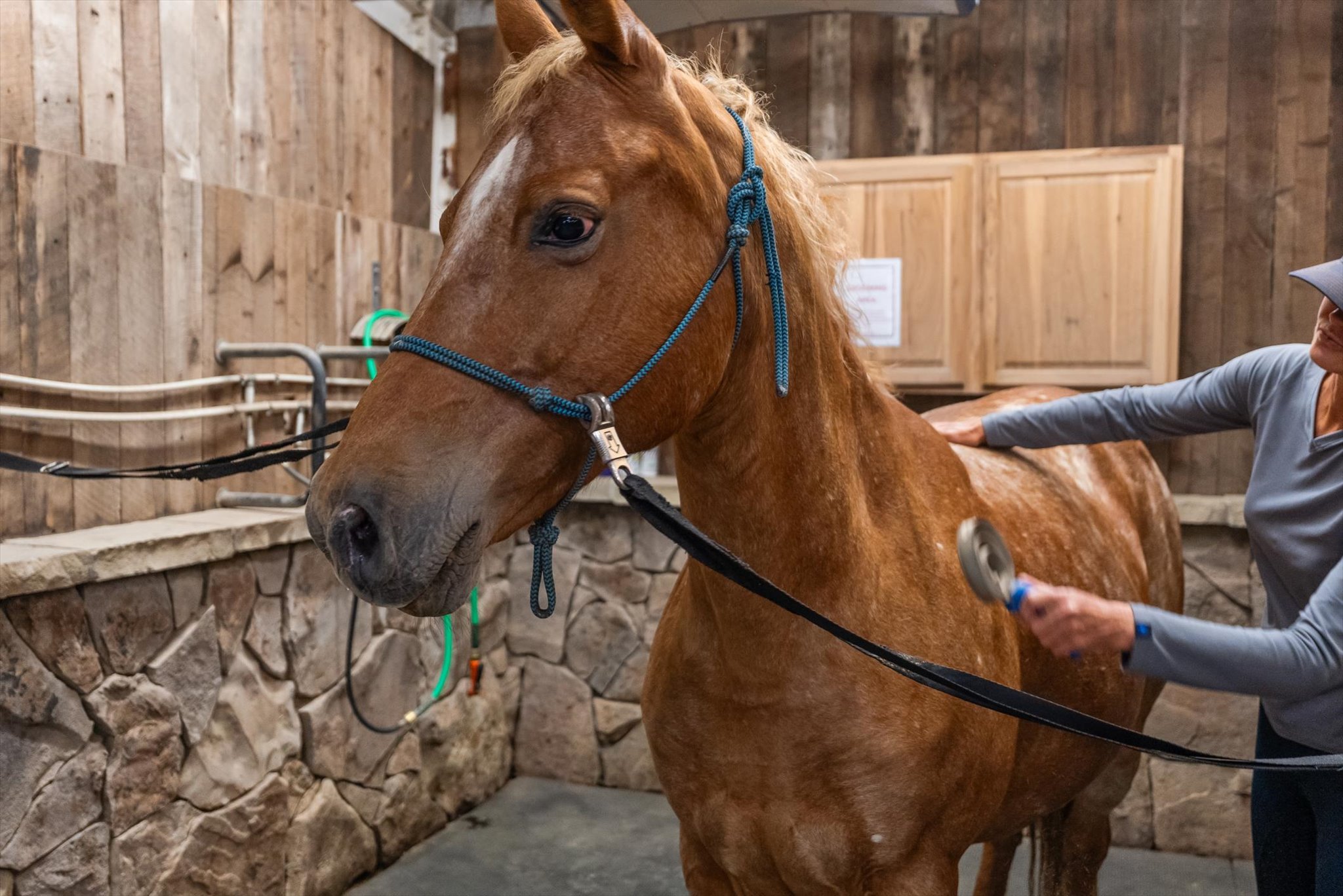 555 & 561 Twin Bridges Road Property Photo 89