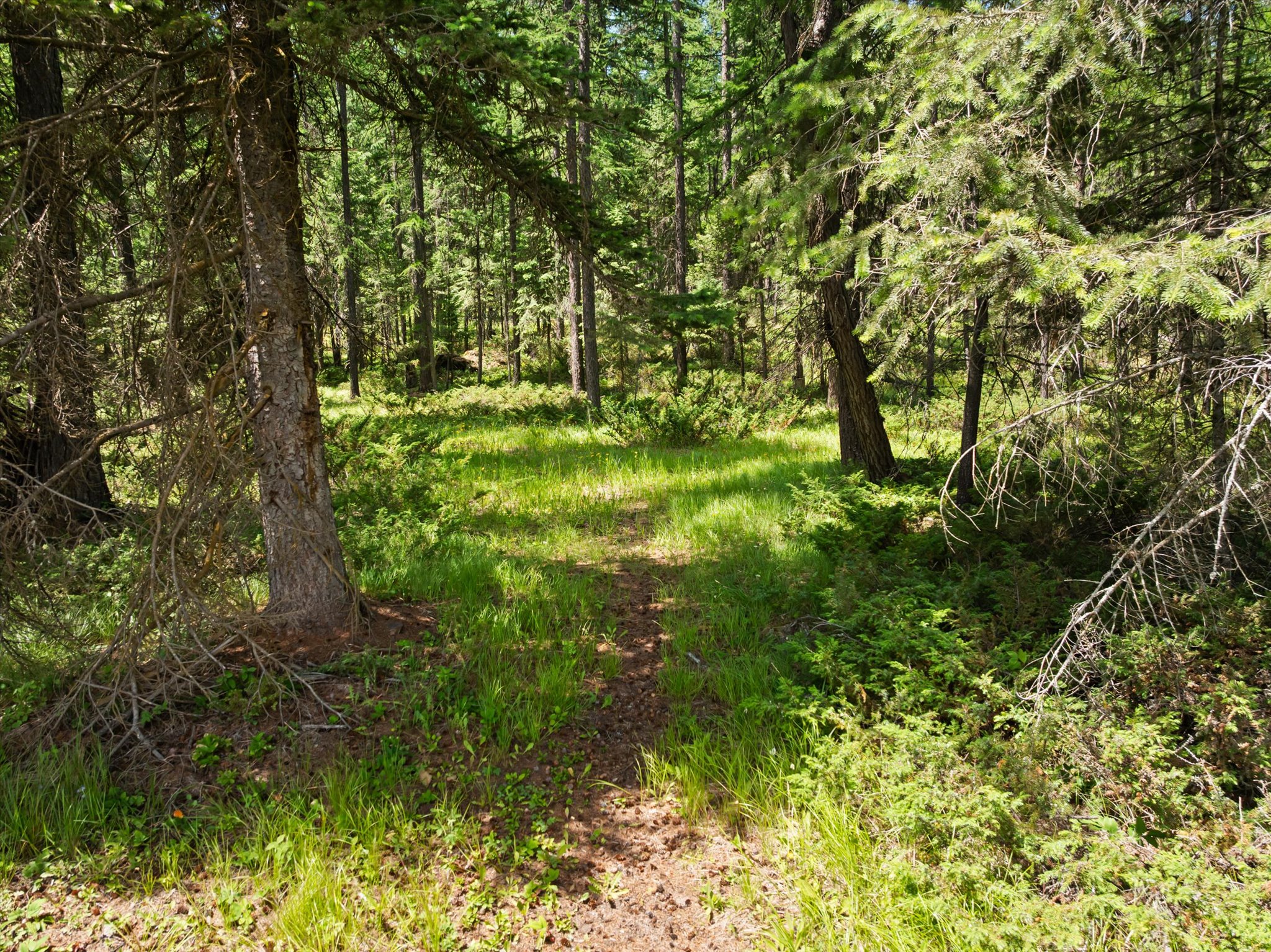 555 & 561 Twin Bridges Road Property Photo 129