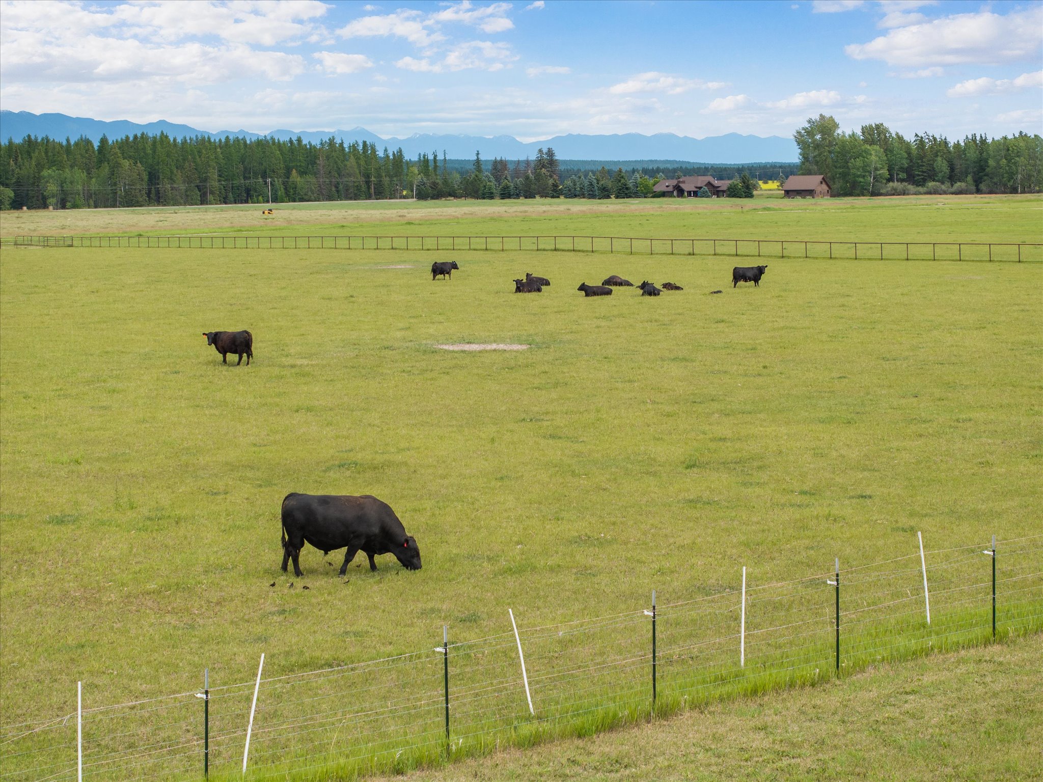 555 & 561 Twin Bridges Road Property Photo 143