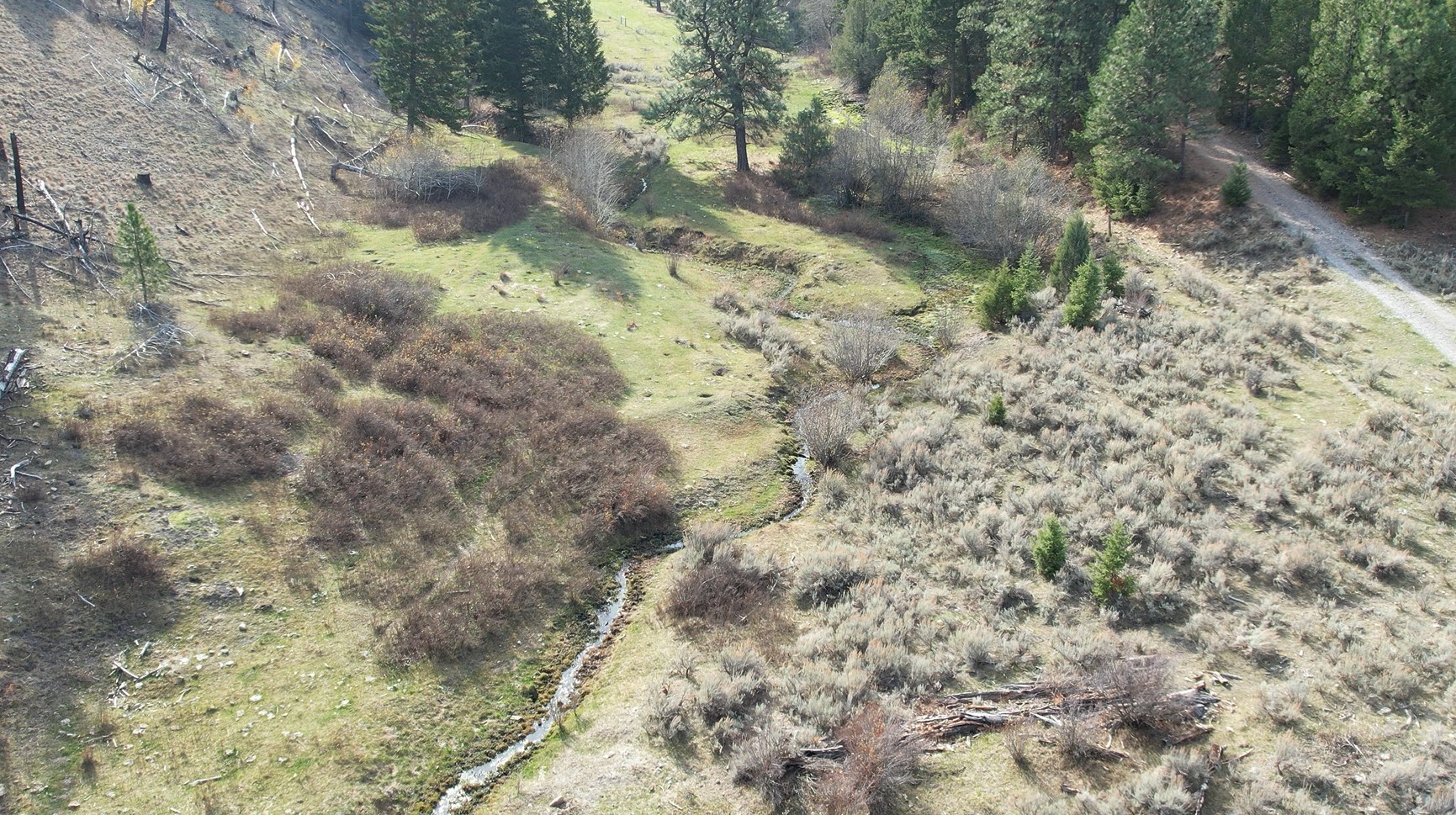1 Tract, Bull Elk Property Photo 1