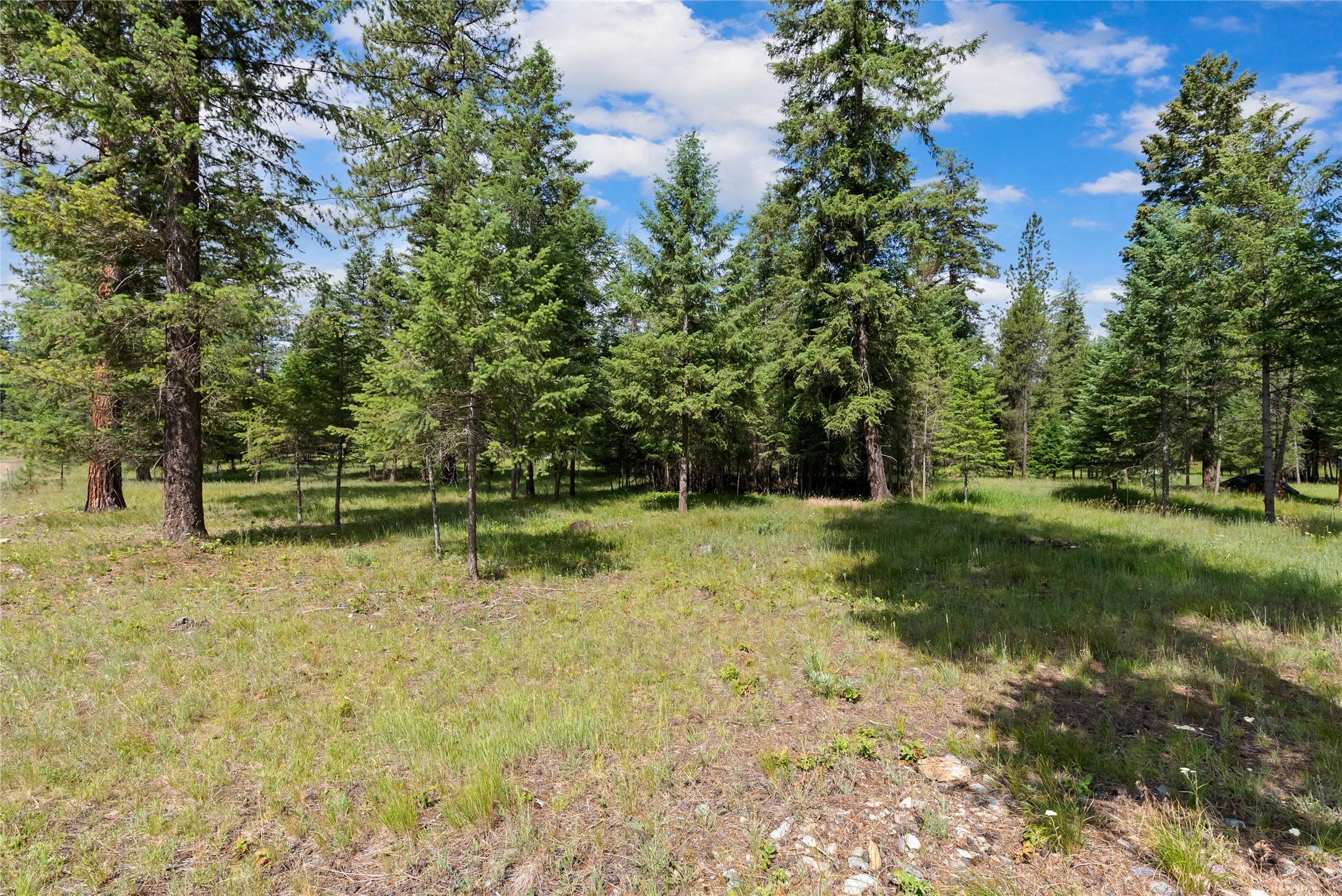 Lot 4 Steep River Ranch Road Property Photo 1