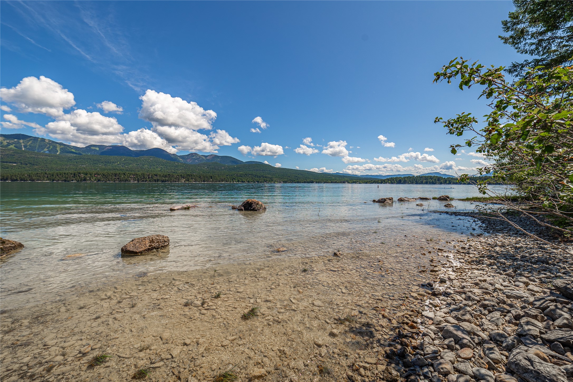 1825 W Lakeshore Drive Property Photo 54