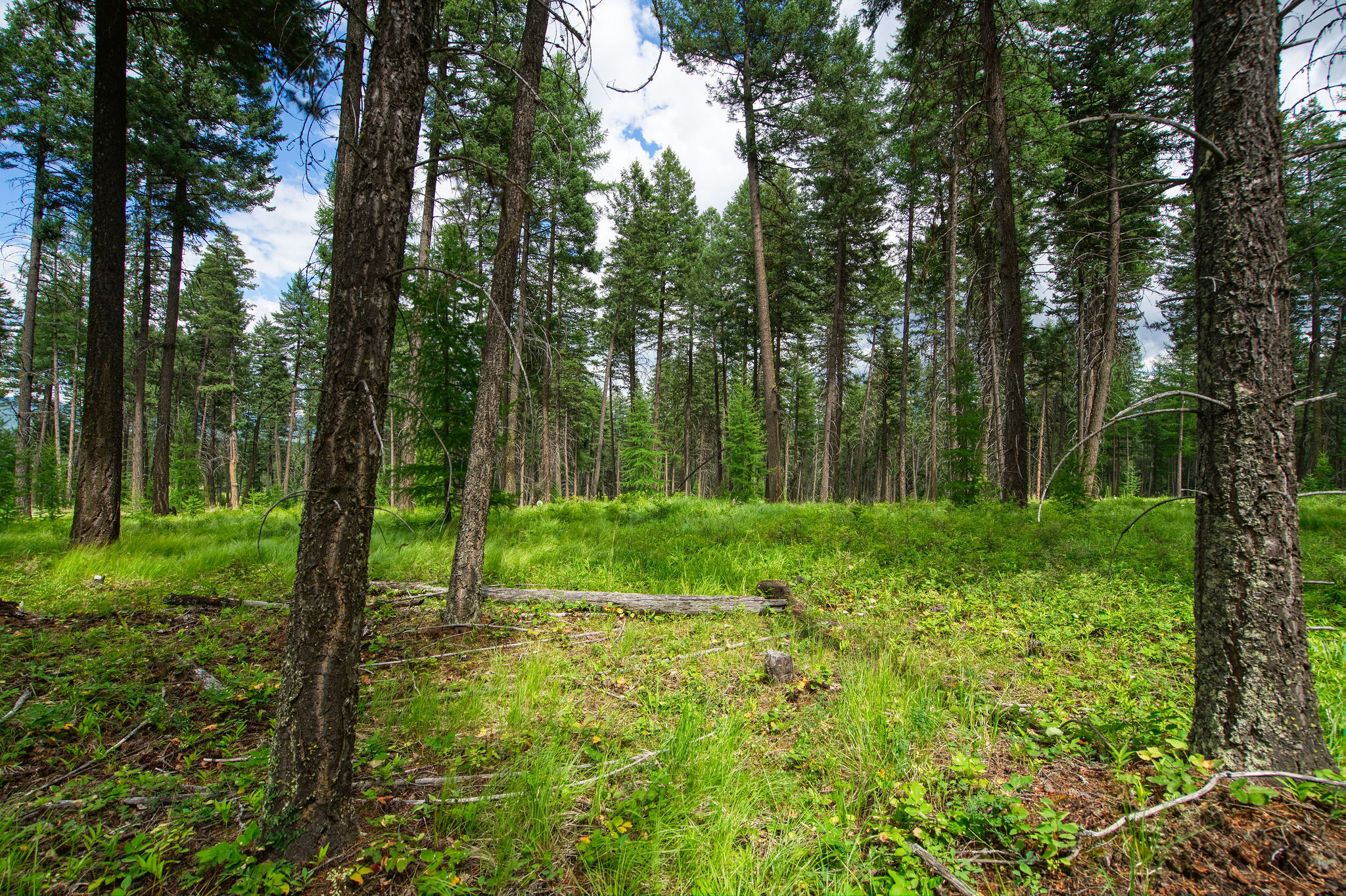 142 Rosewood Lane Lot 18 Property Photo 4