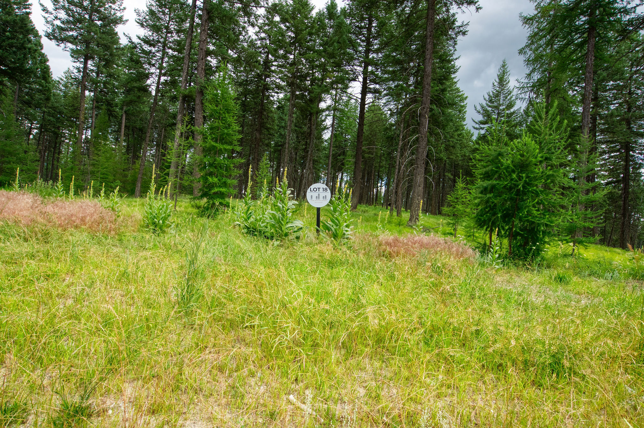 142 Rosewood Lane Lot 18 Property Photo 6