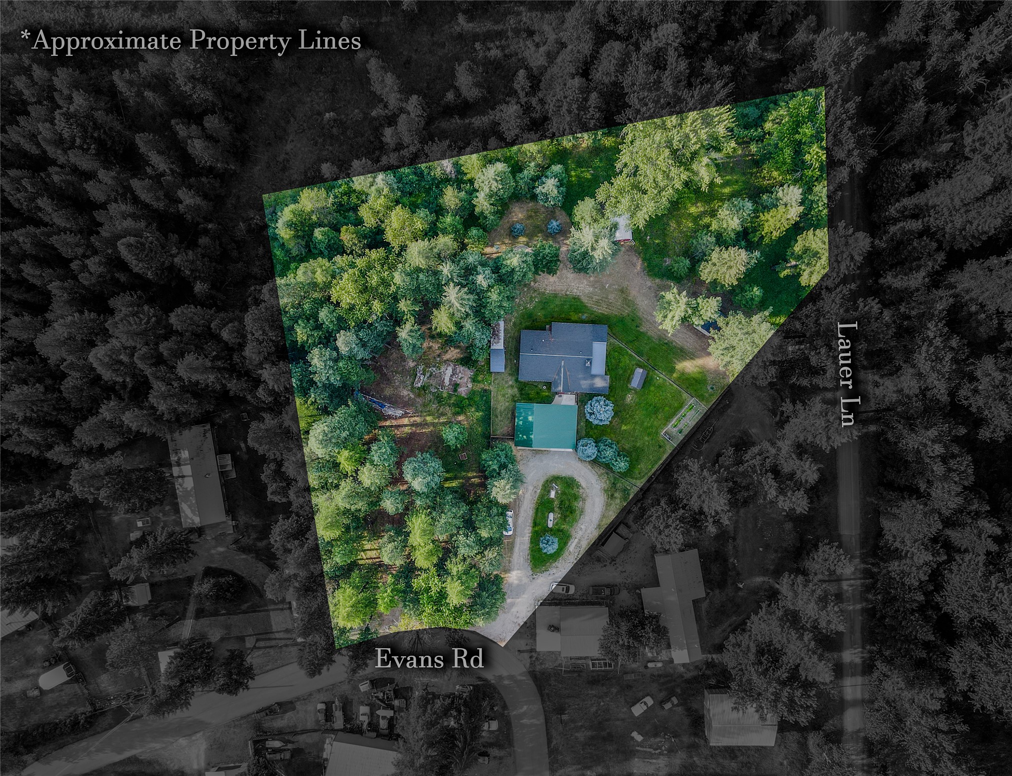 87 & 101 Evans Road Property Photo 8