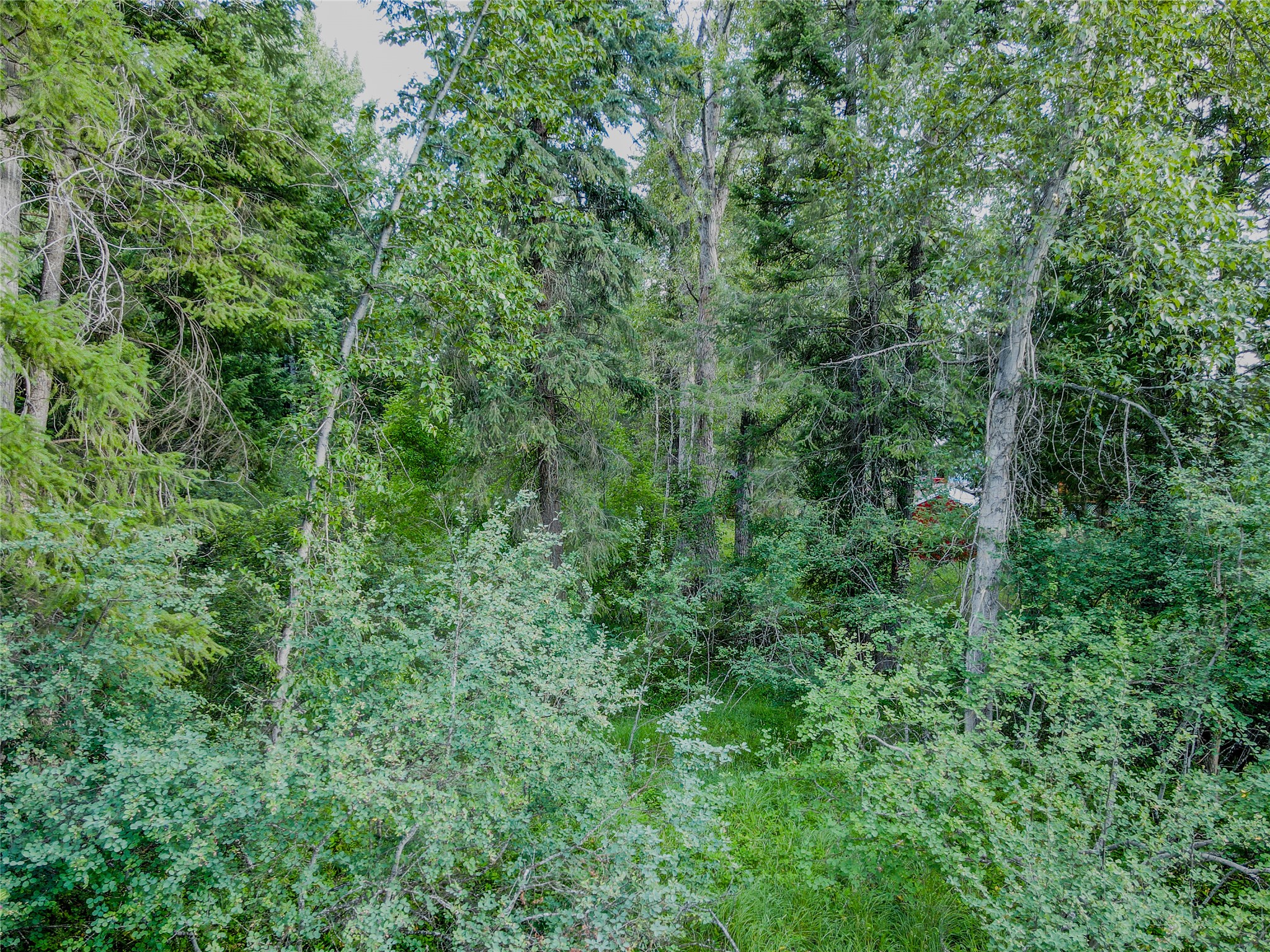 87 & 101 Evans Road Property Photo 82