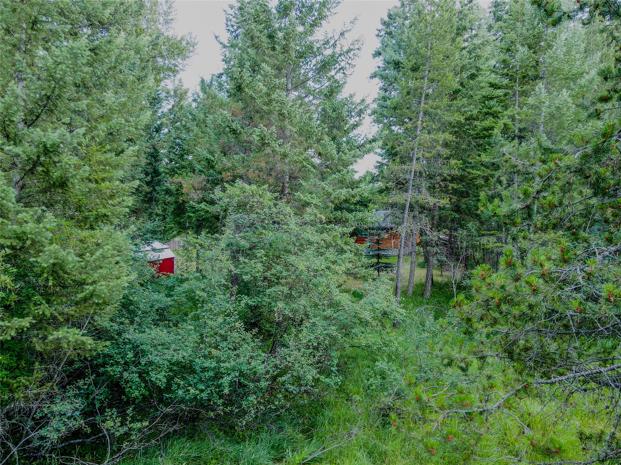 87 & 101 Evans Road Property Photo 83