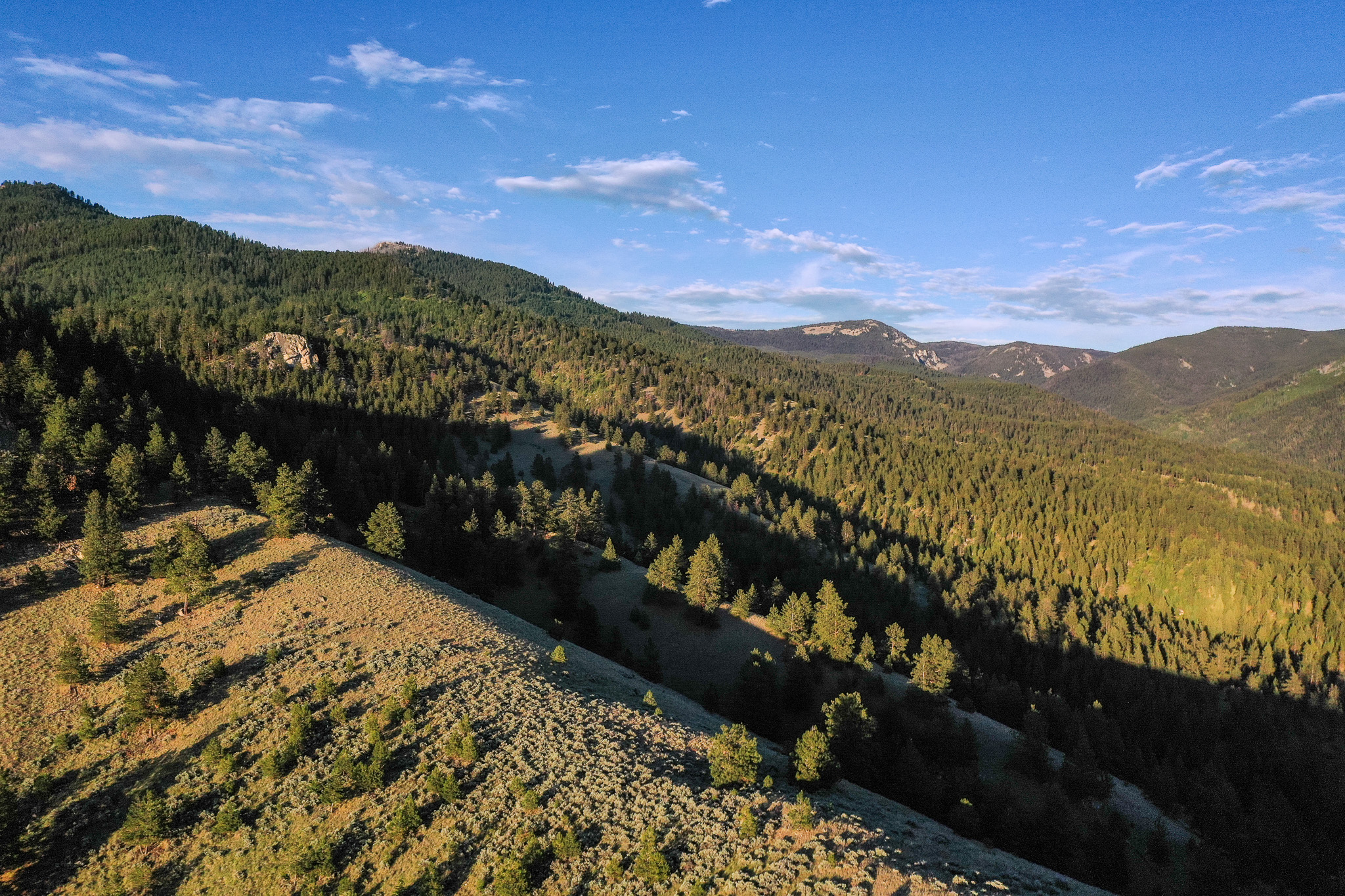 Bitterroot Highlands At Willow Creek - Nhn Willow Creek Rd Property Photo 1