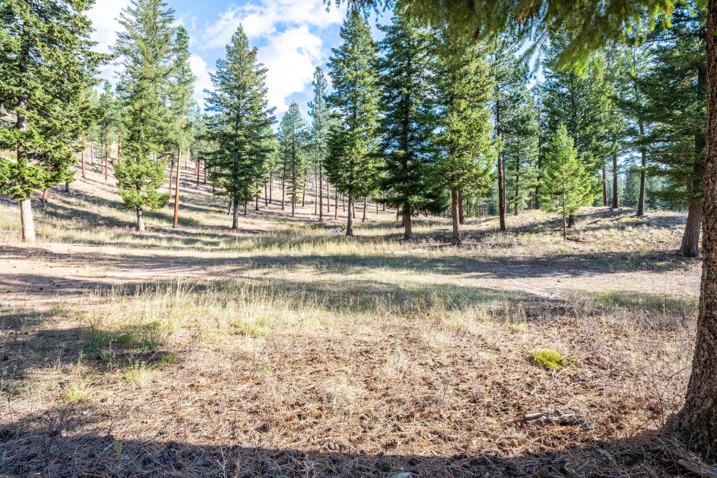 Lot 15 Muddler Court Property Photo 1