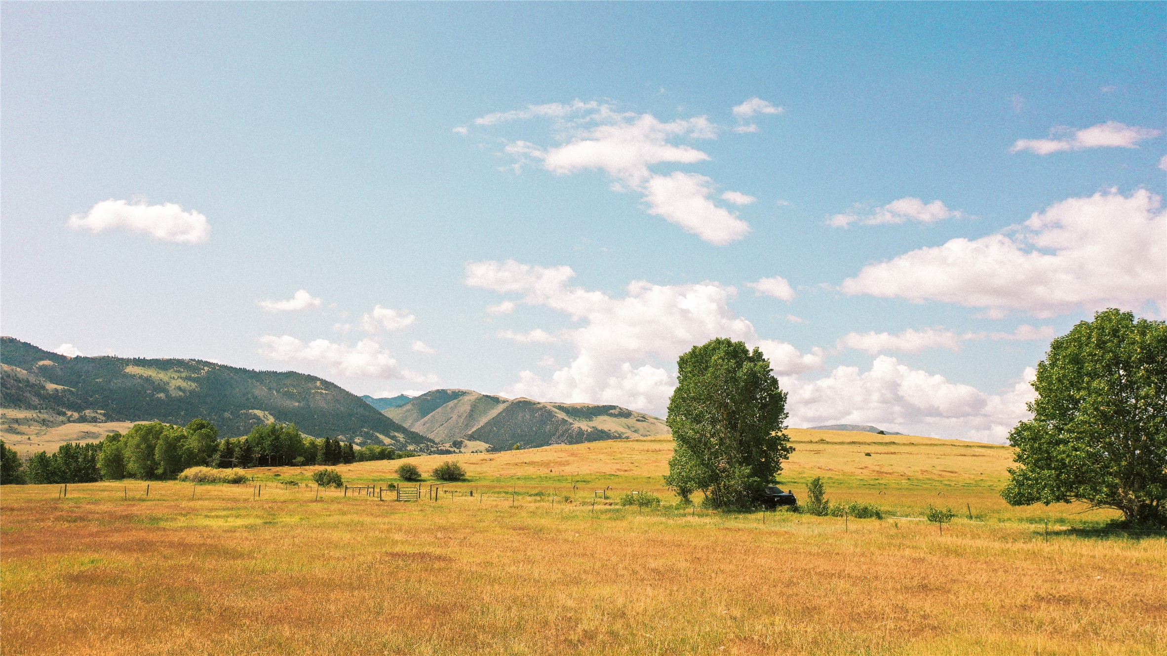 Nhn Mule Deer Road Property Photo 1