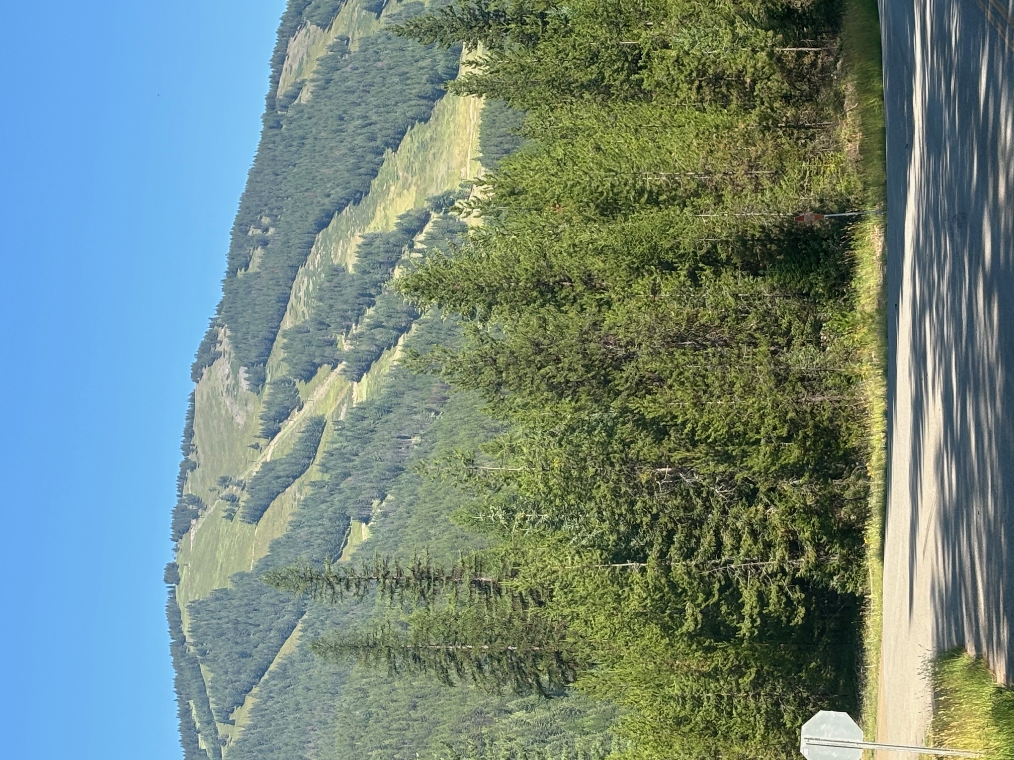 72 Keystone Flats Road Property Photo 11