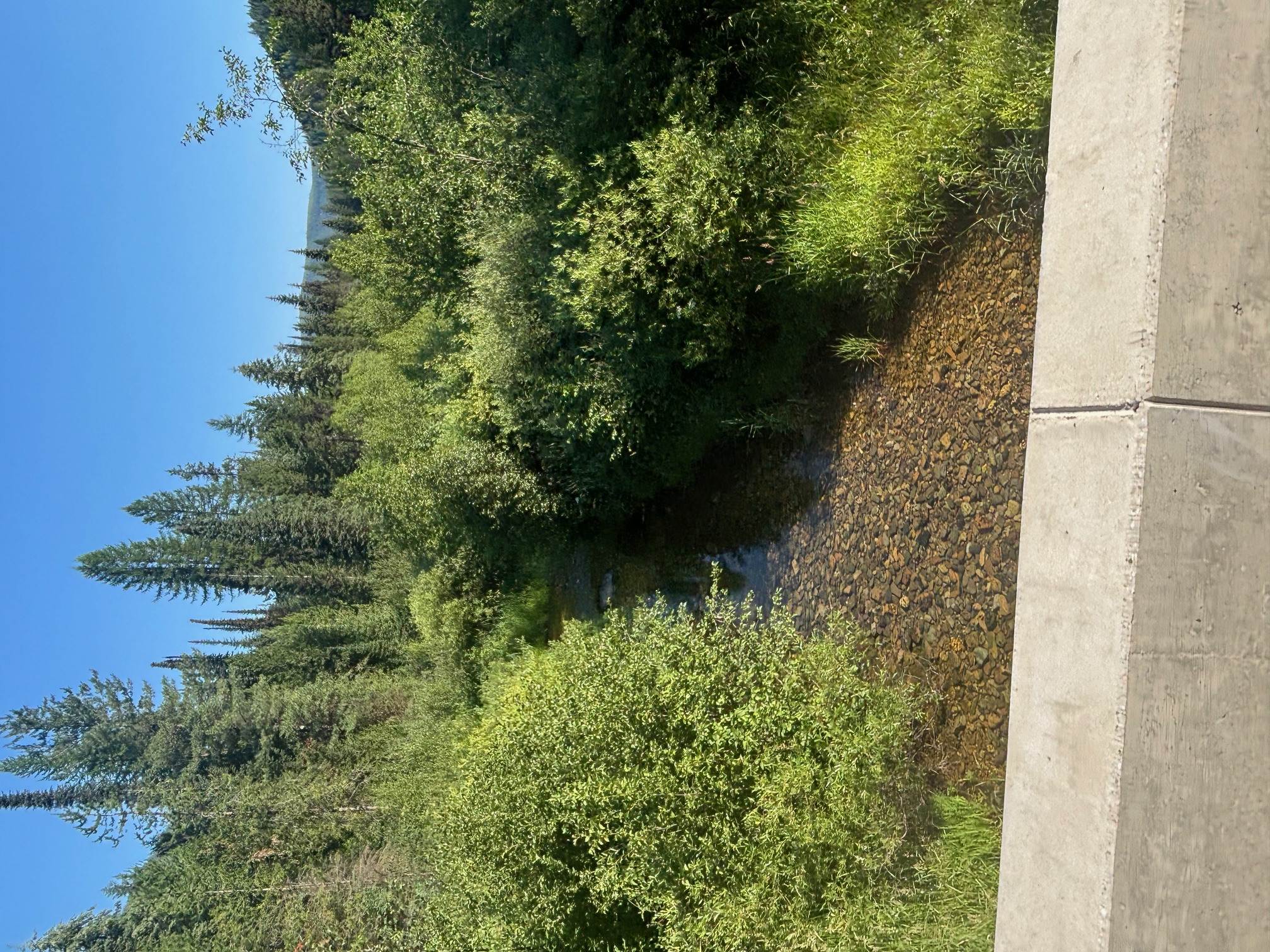 72 Keystone Flats Road Property Photo 12