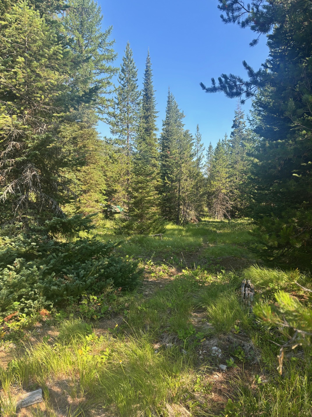 72 Keystone Flats Road Property Photo 14