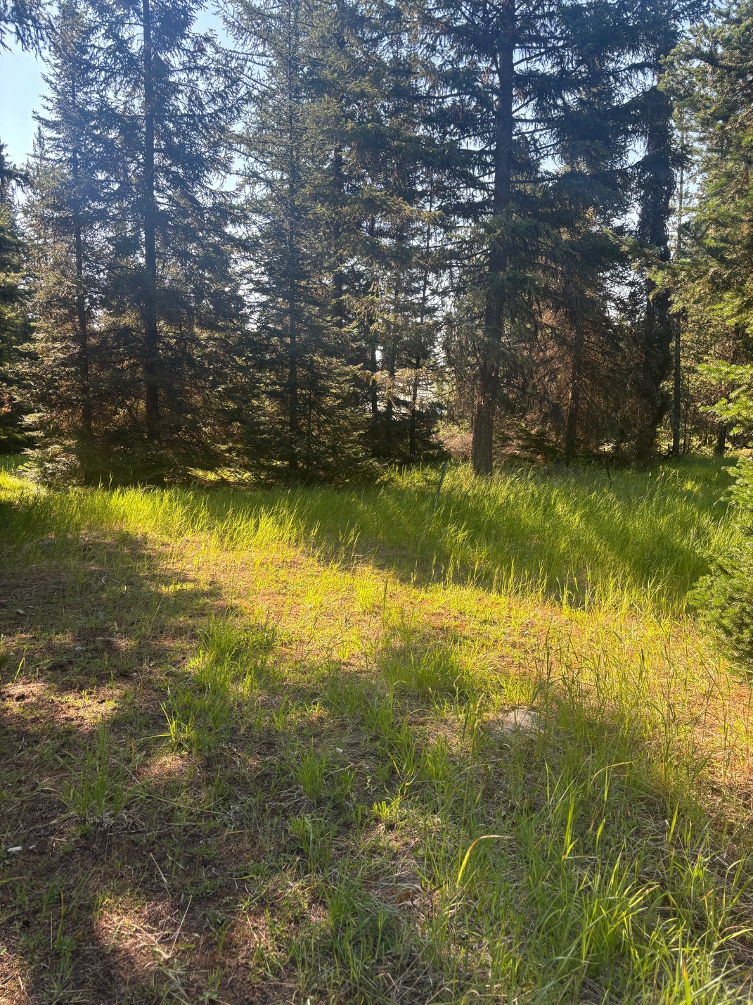 72 Keystone Flats Road Property Photo 16