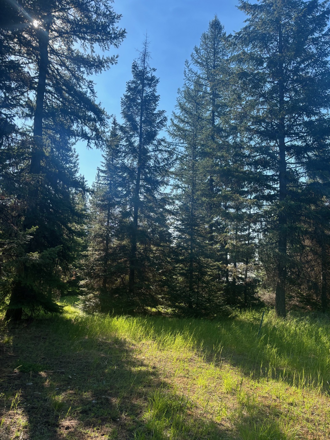 72 Keystone Flats Road Property Photo 17