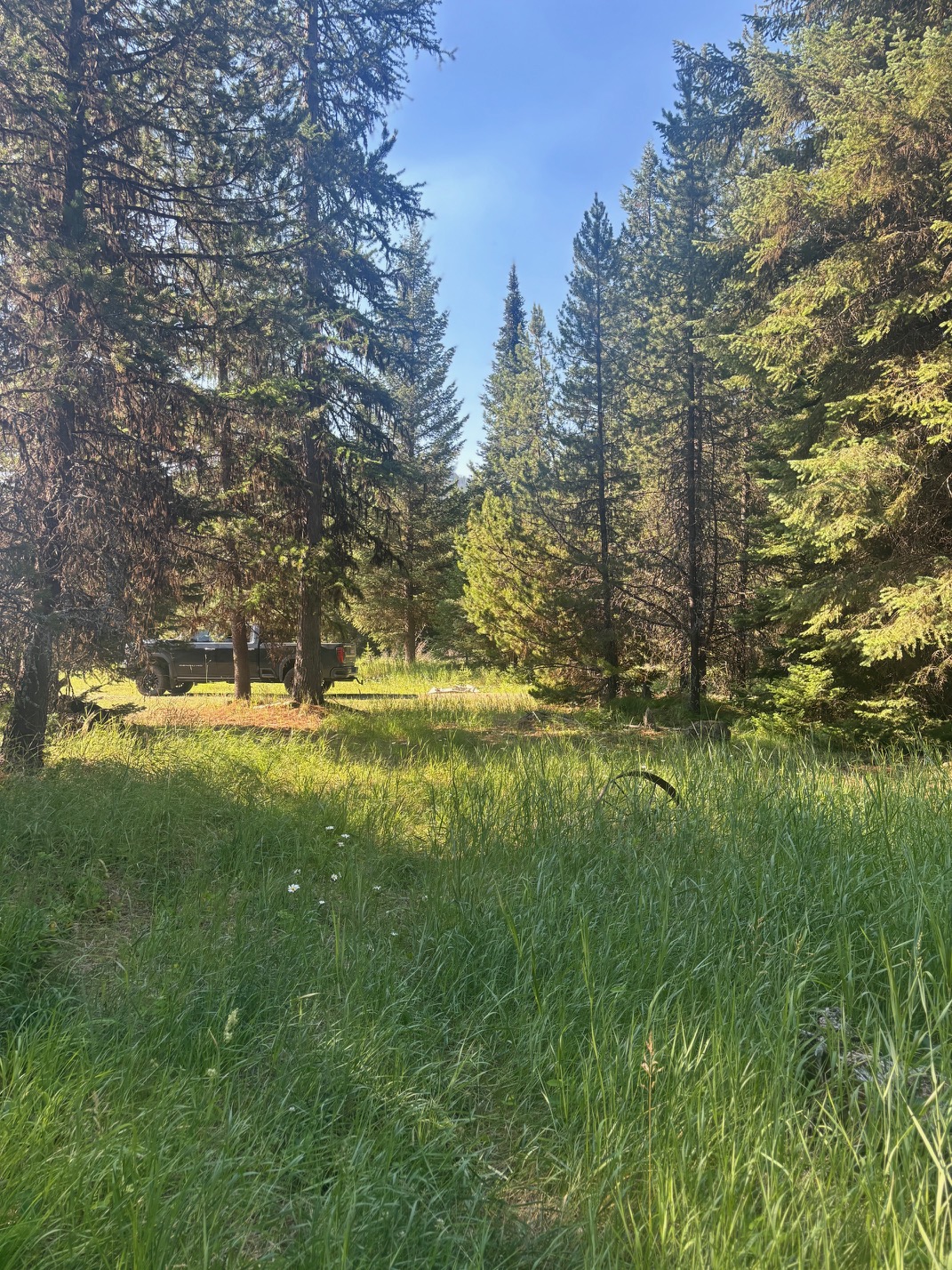 72 Keystone Flats Road Property Photo 18