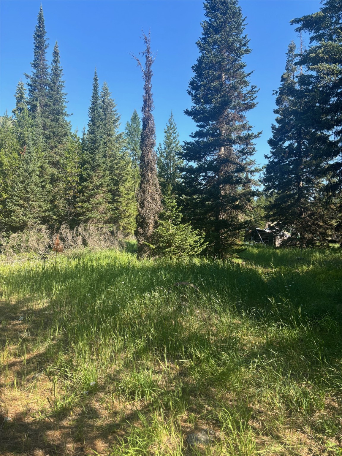 72 Keystone Flats Road Property Photo 19