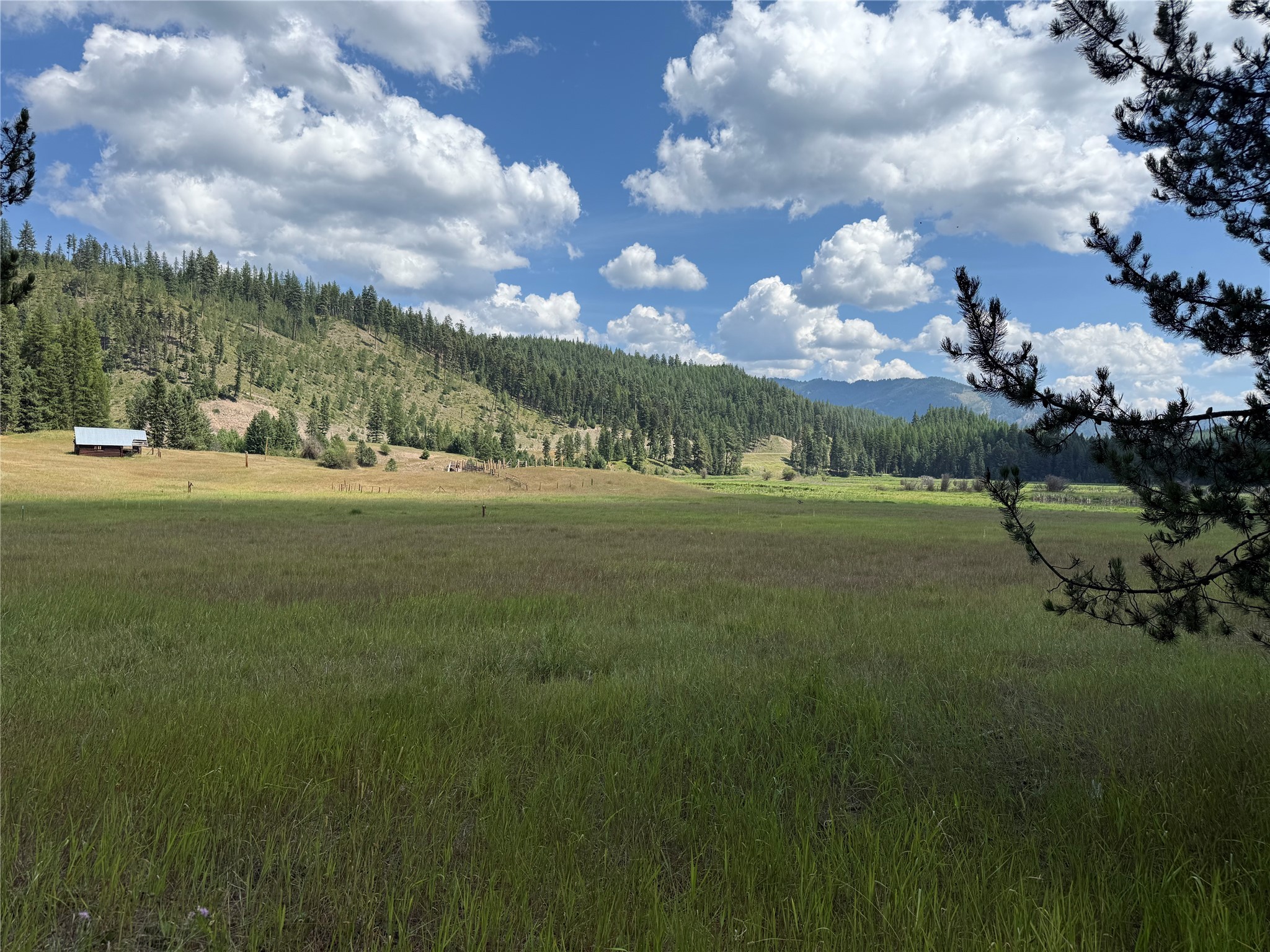 TBD Lot12 Schrieber Lake Subdivision Property Photo 1