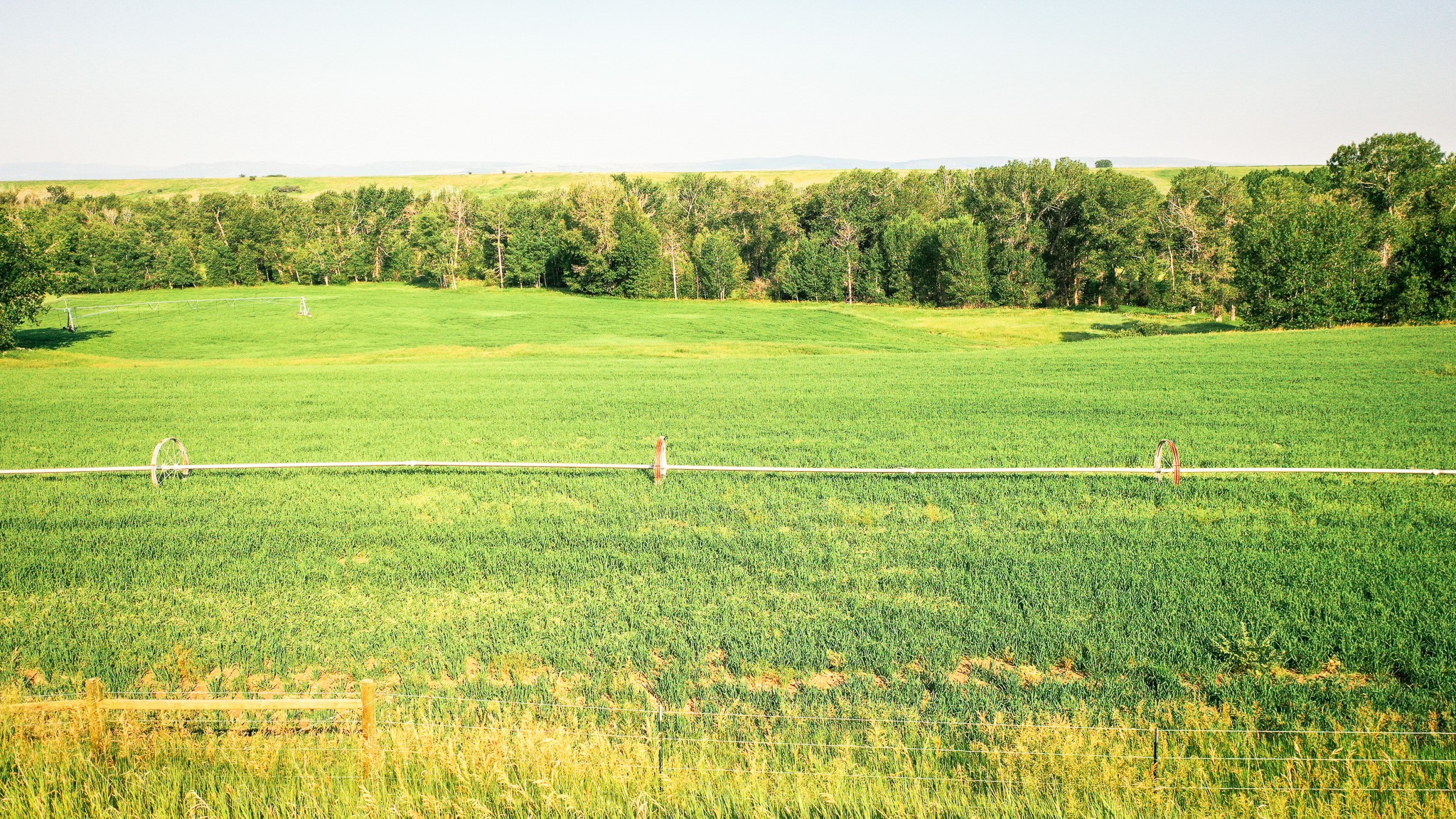Nhn Shields River Road Property Photo 3