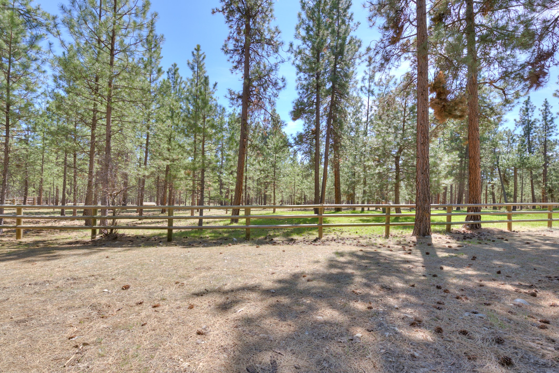 5668 Lichenstone Lane Property Photo 63