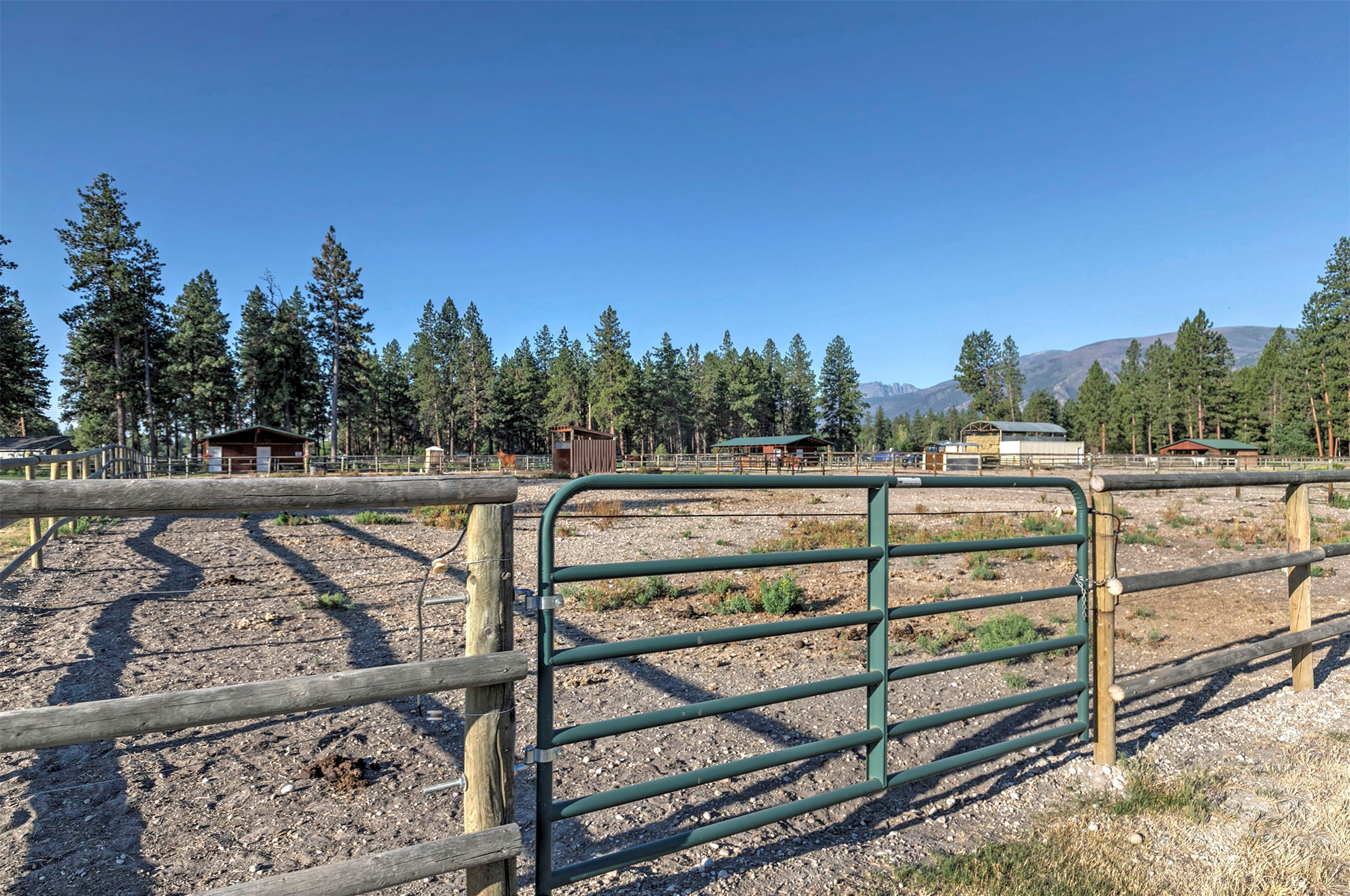 4354 Carolin Lane Property Photo 42