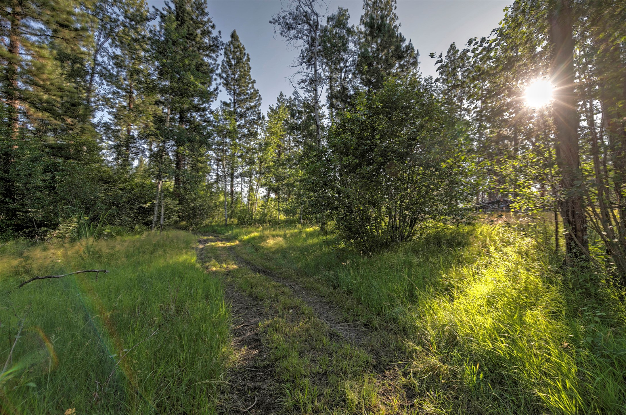 4354 Carolin Lane Property Photo 45