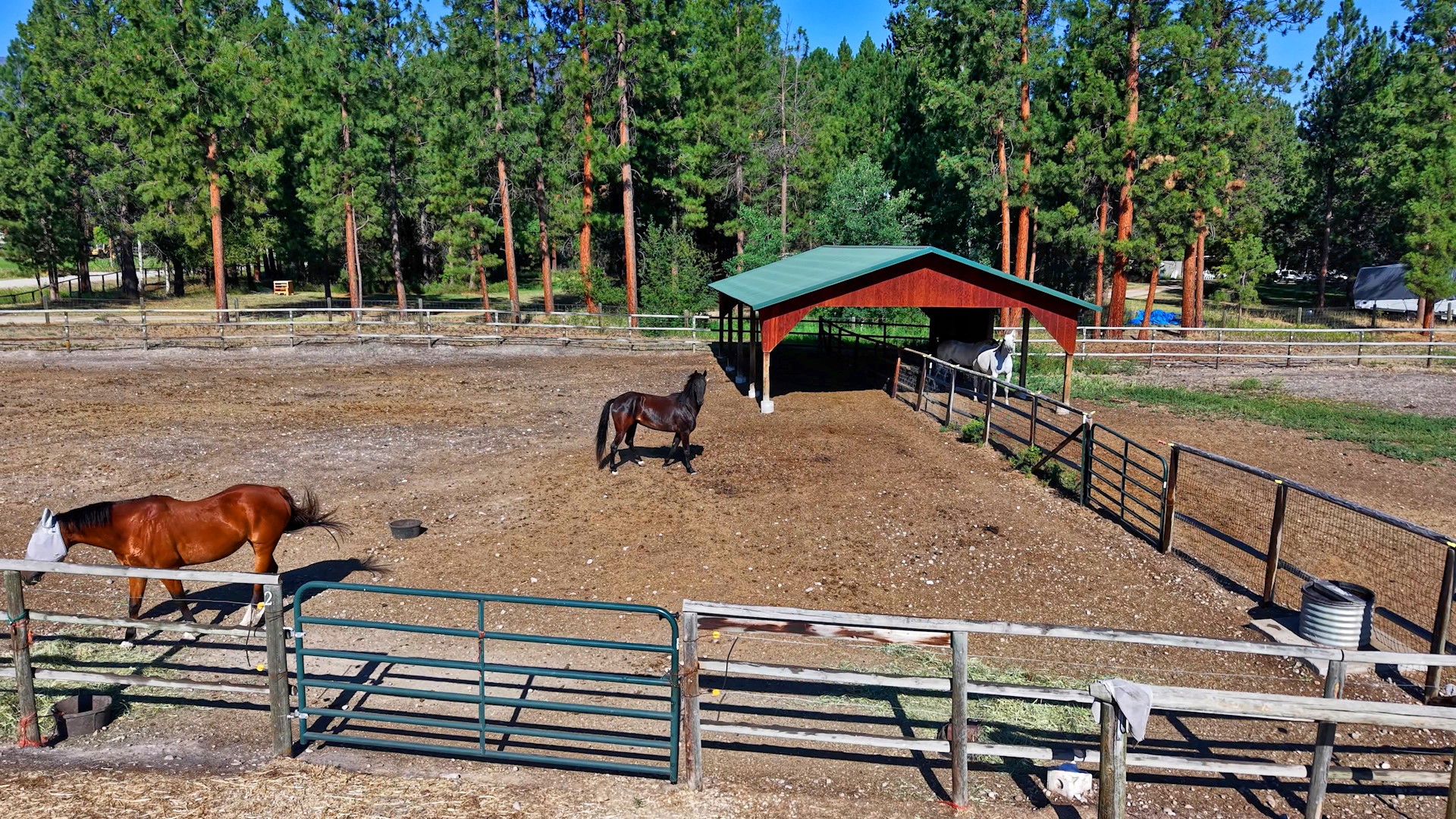 4354 Carolin Lane Property Photo 59