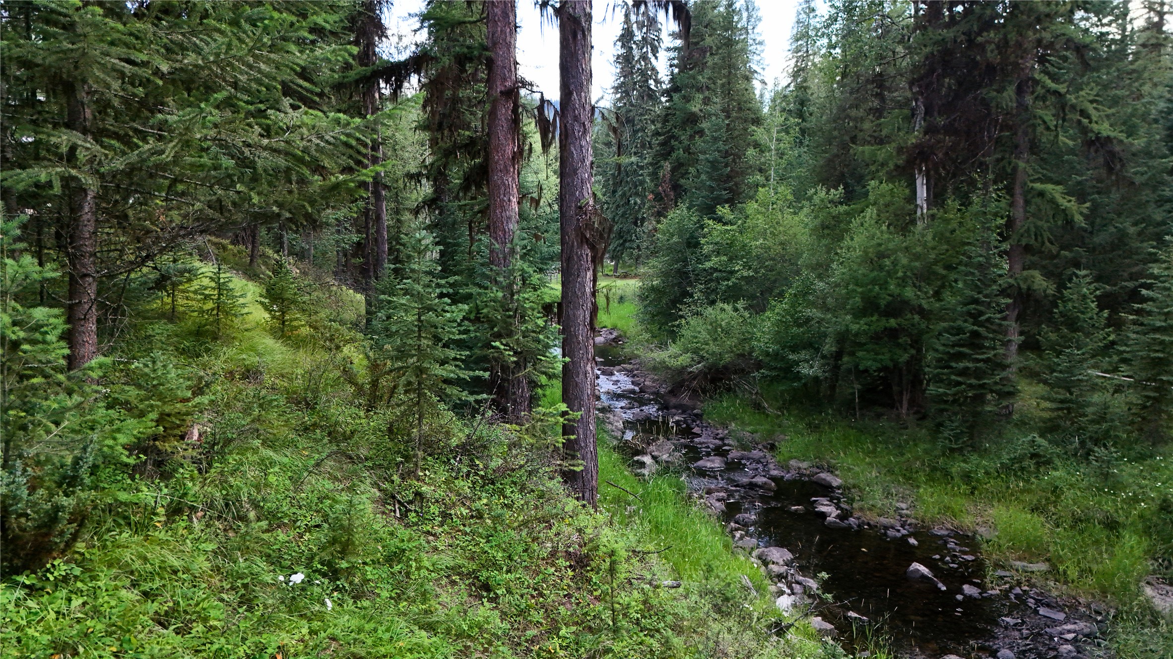 187 Swamp Creek Road Property Photo 42