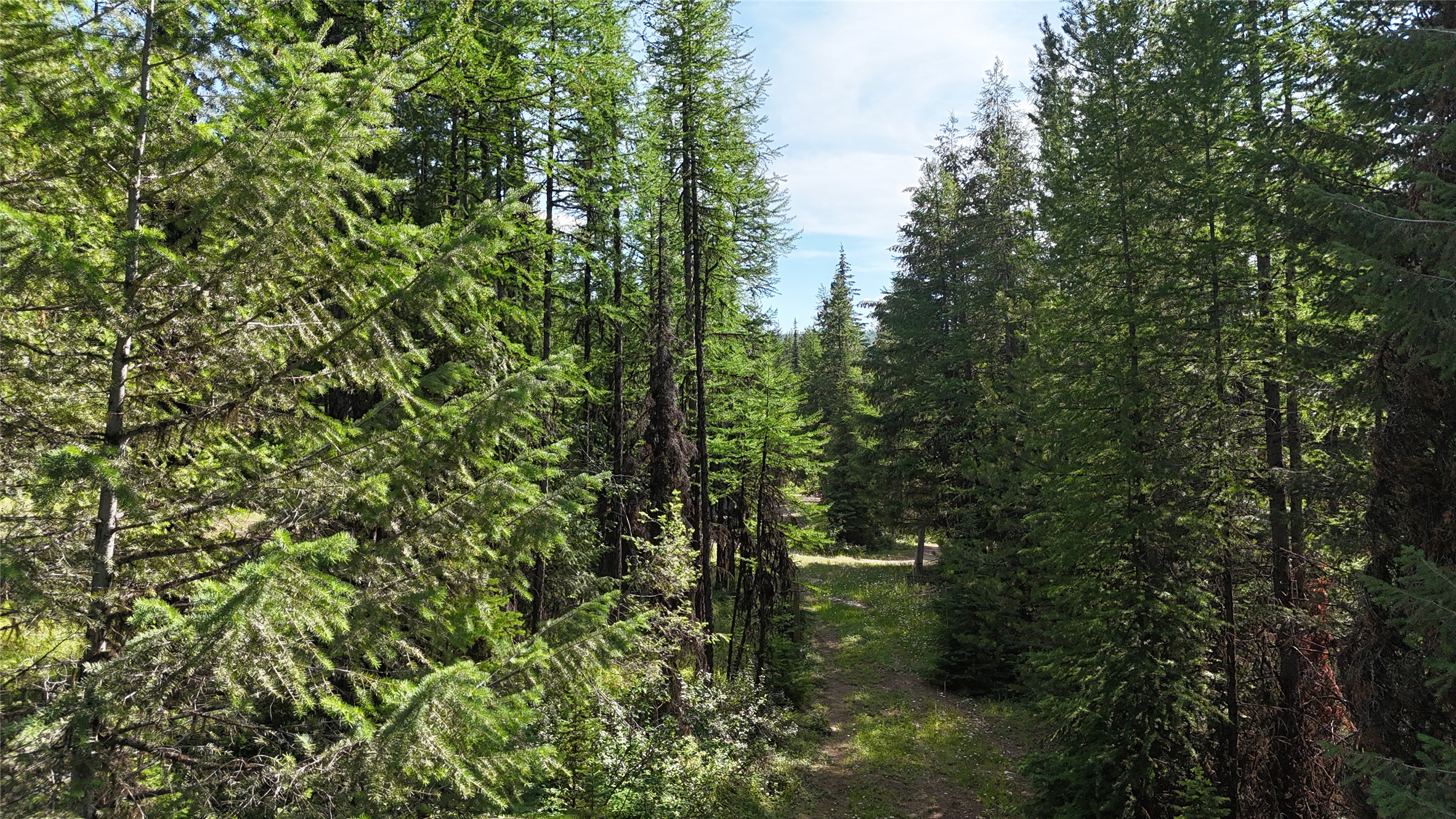 1100 Alpine Valley Road Property Photo 3