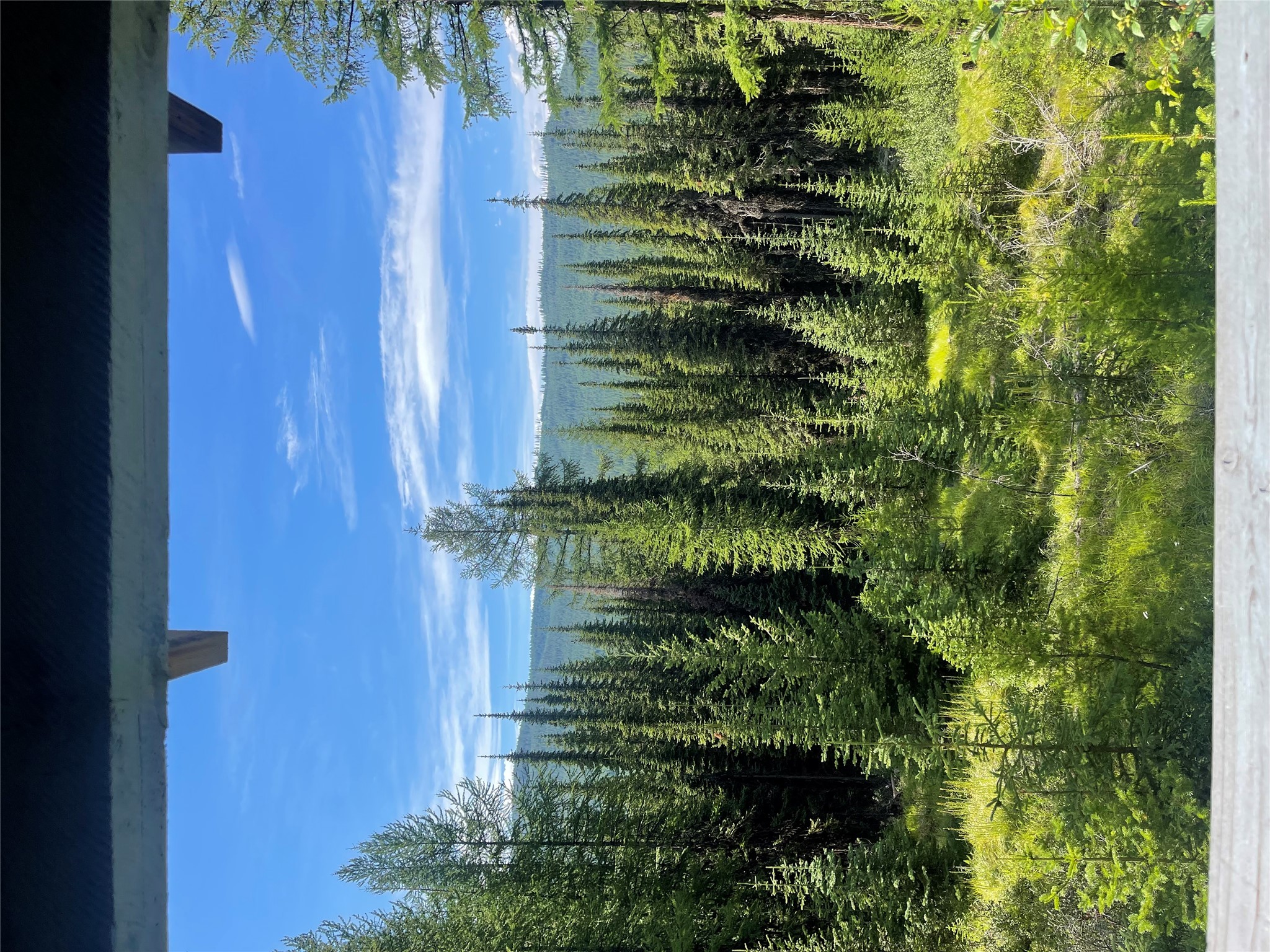 1100 Alpine Valley Road Property Photo 4