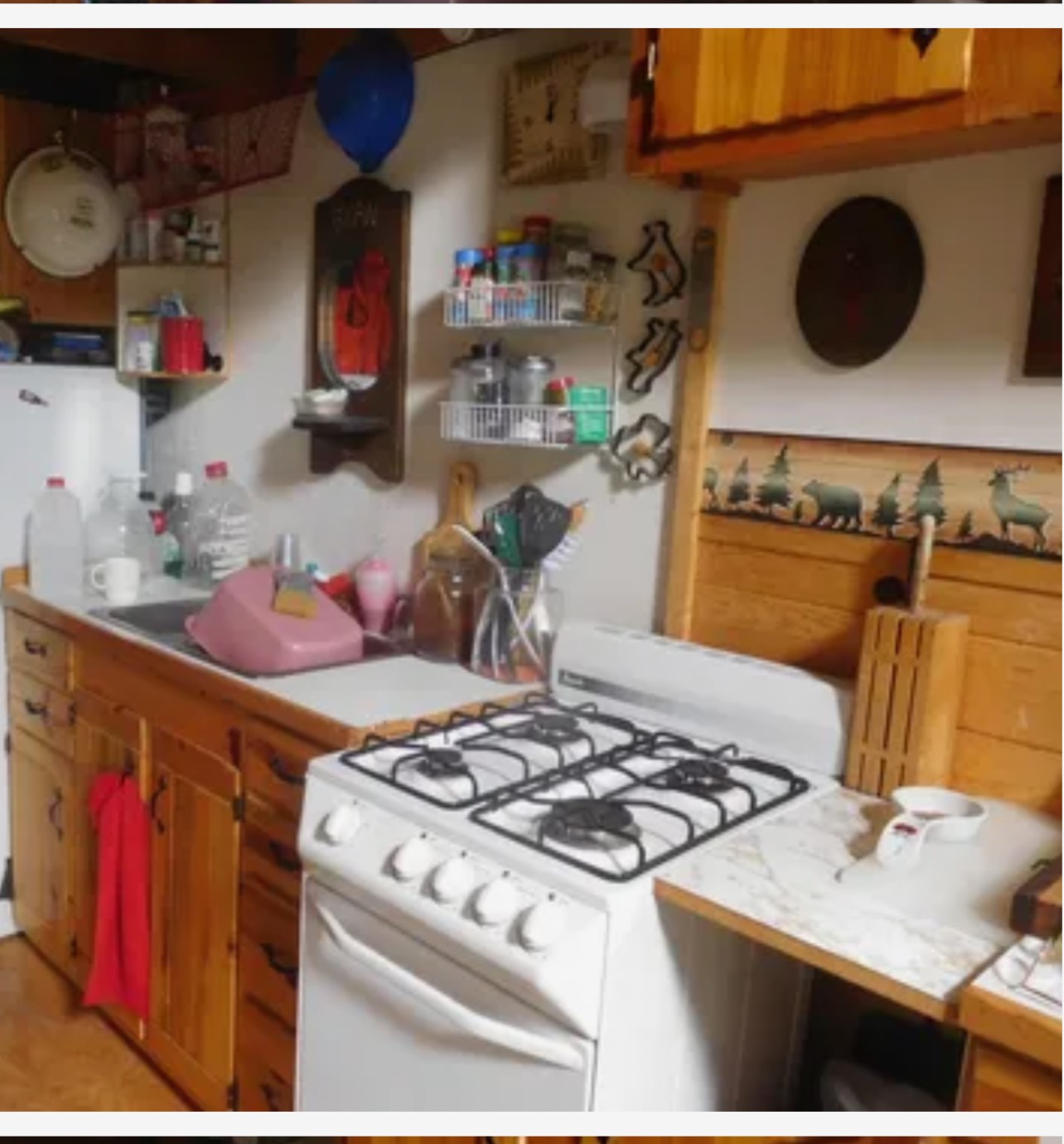 1100 Alpine Valley Road Property Photo 5