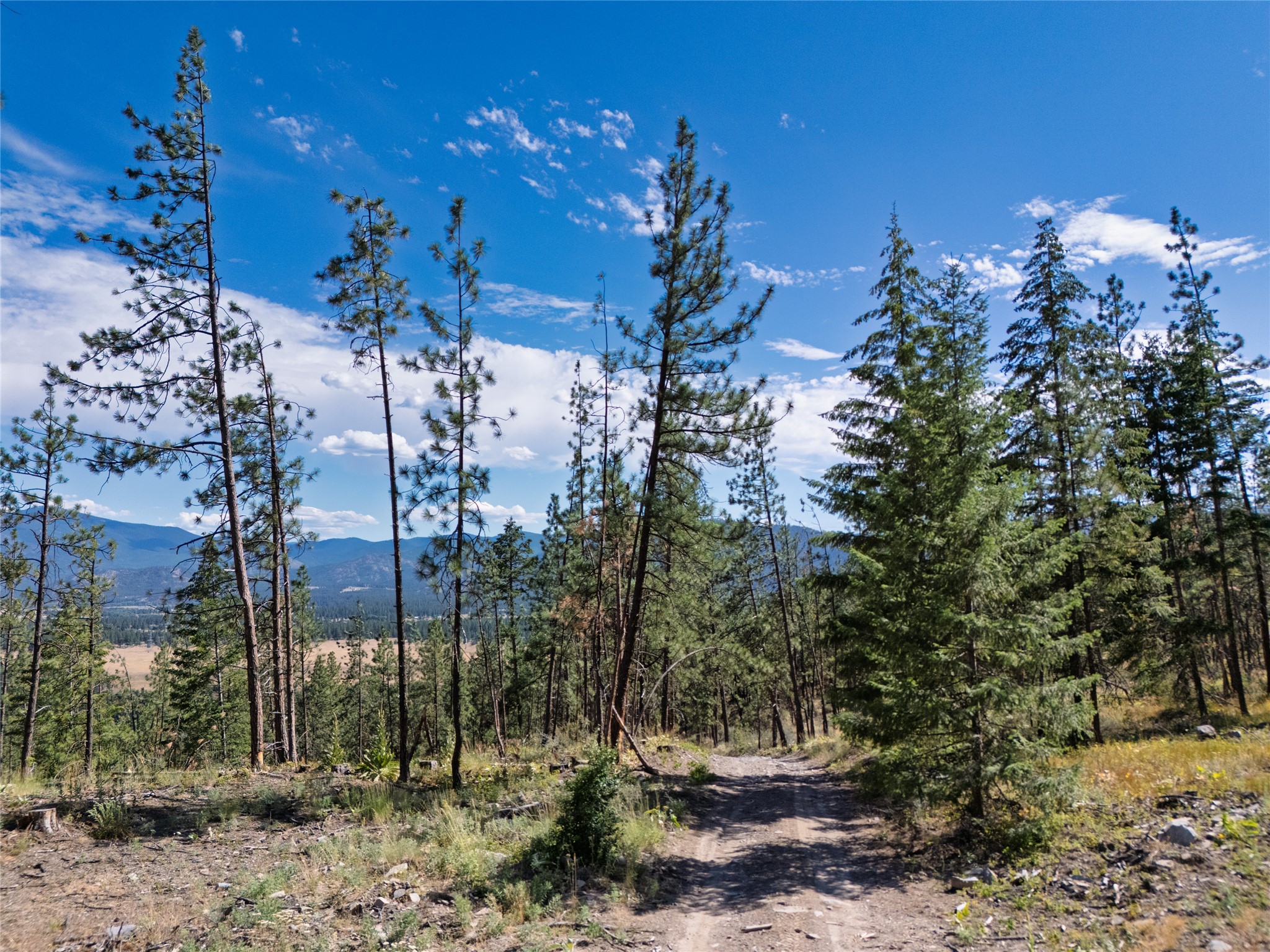 Nhn Whitetail Lane Property Photo 3