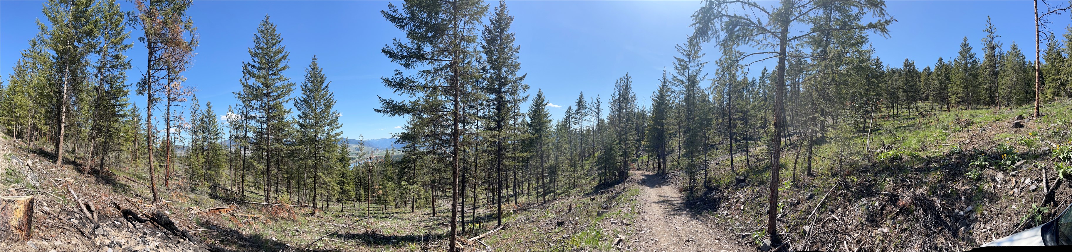 Nhn Whitetail Lane Property Photo 15