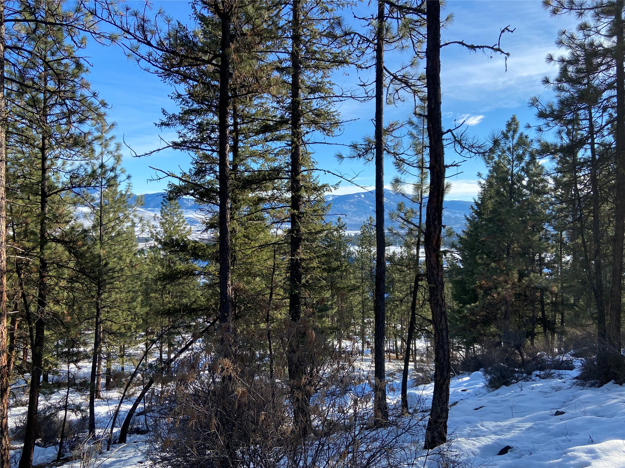 Nhn Whitetail Lane Property Photo 24