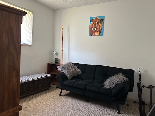 231 Silverbow Drive Property Photo 15