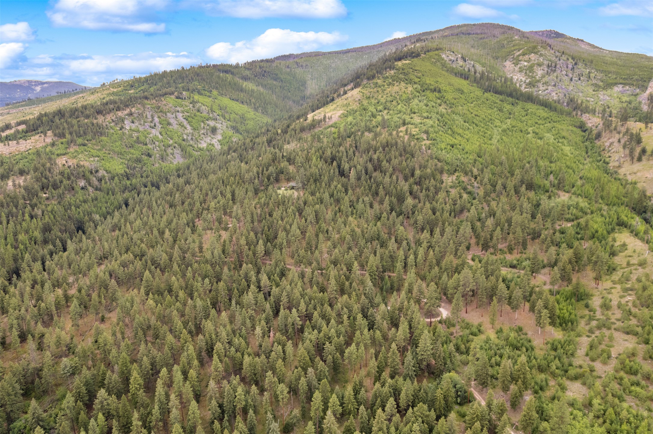 714 Eagles Roost Lane Property Photo 6